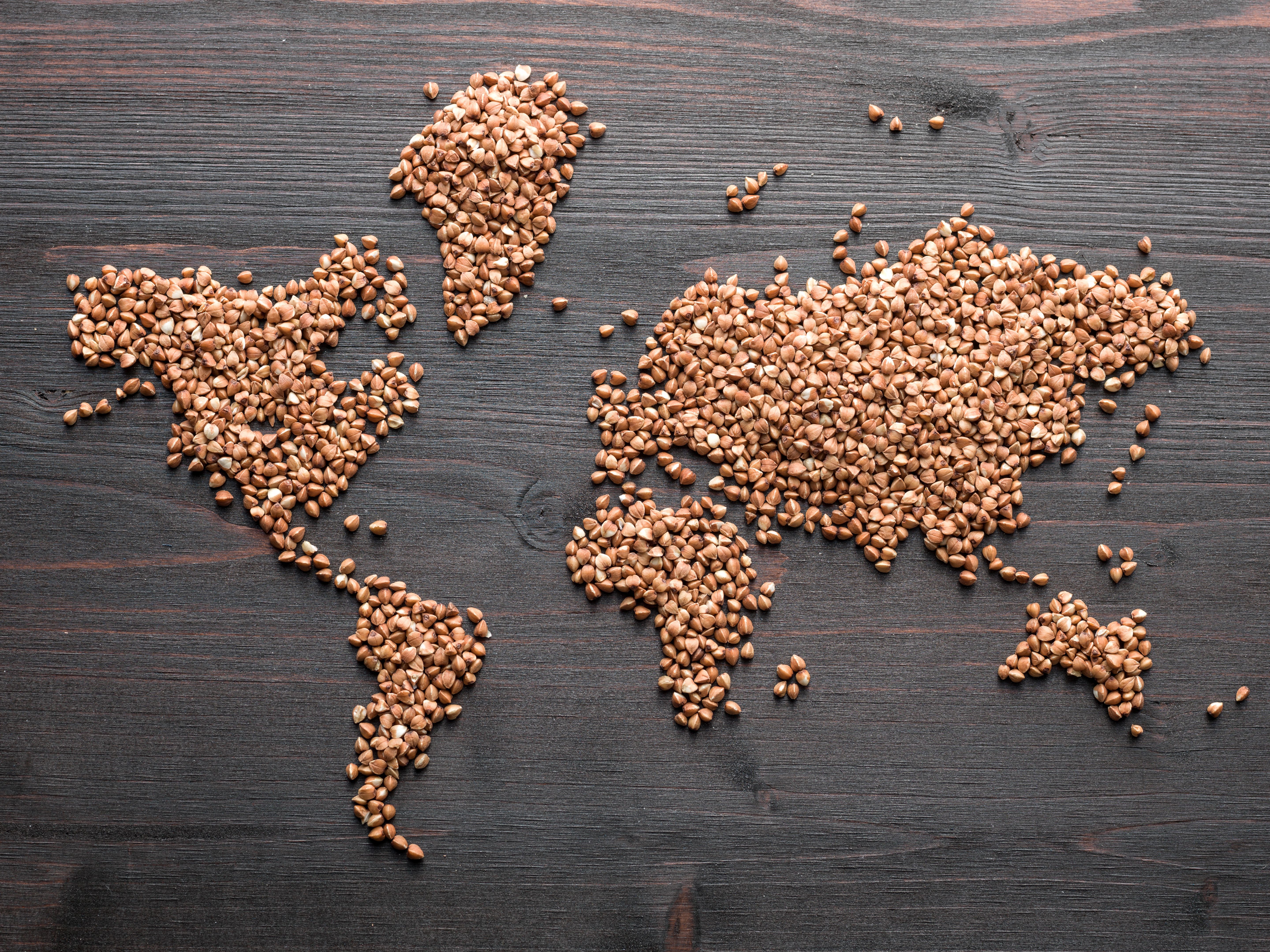 World Map Made Of Buckwheat Grain Seeds On Wooden Desk