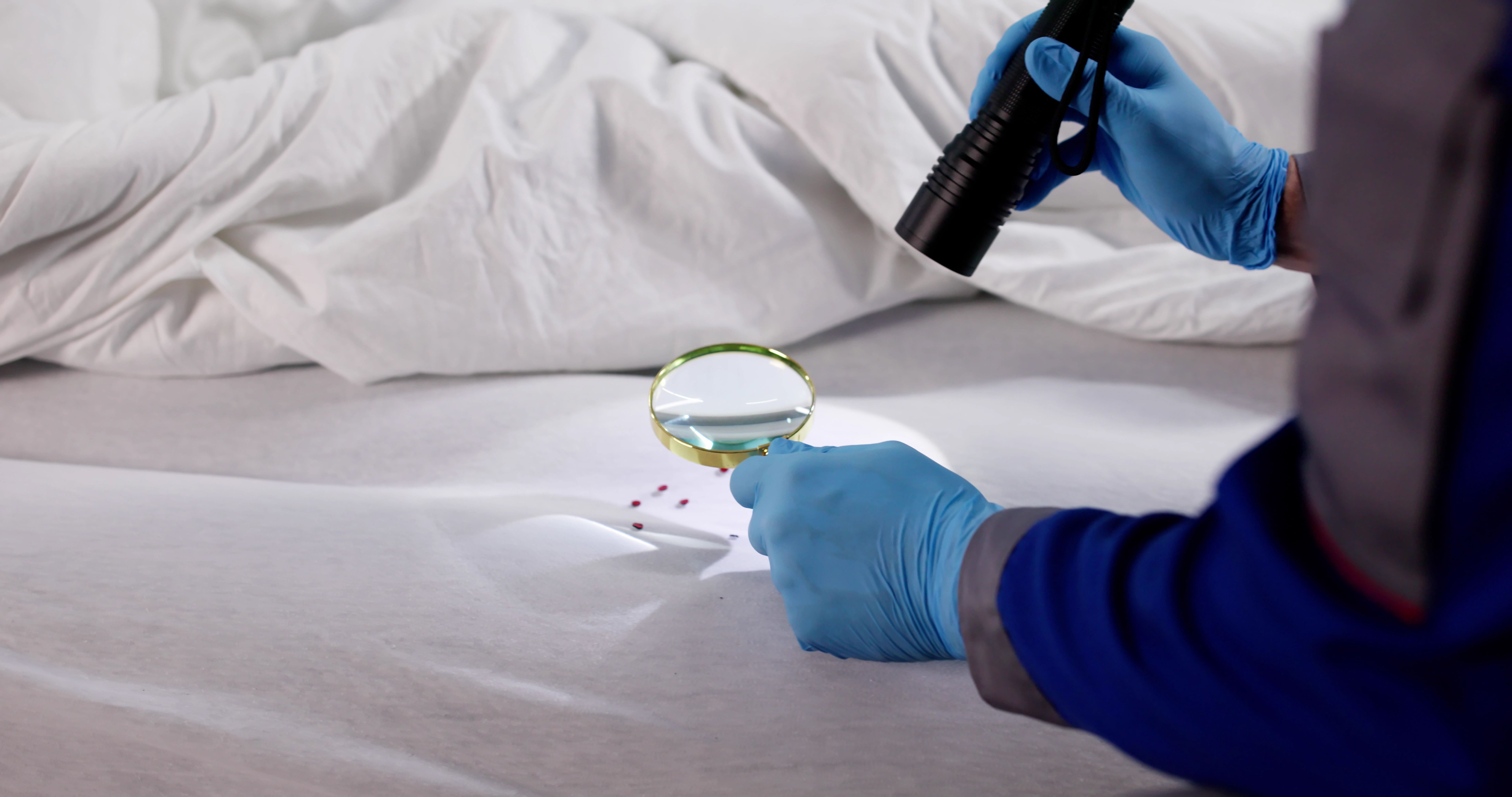 home inspection bed bugs