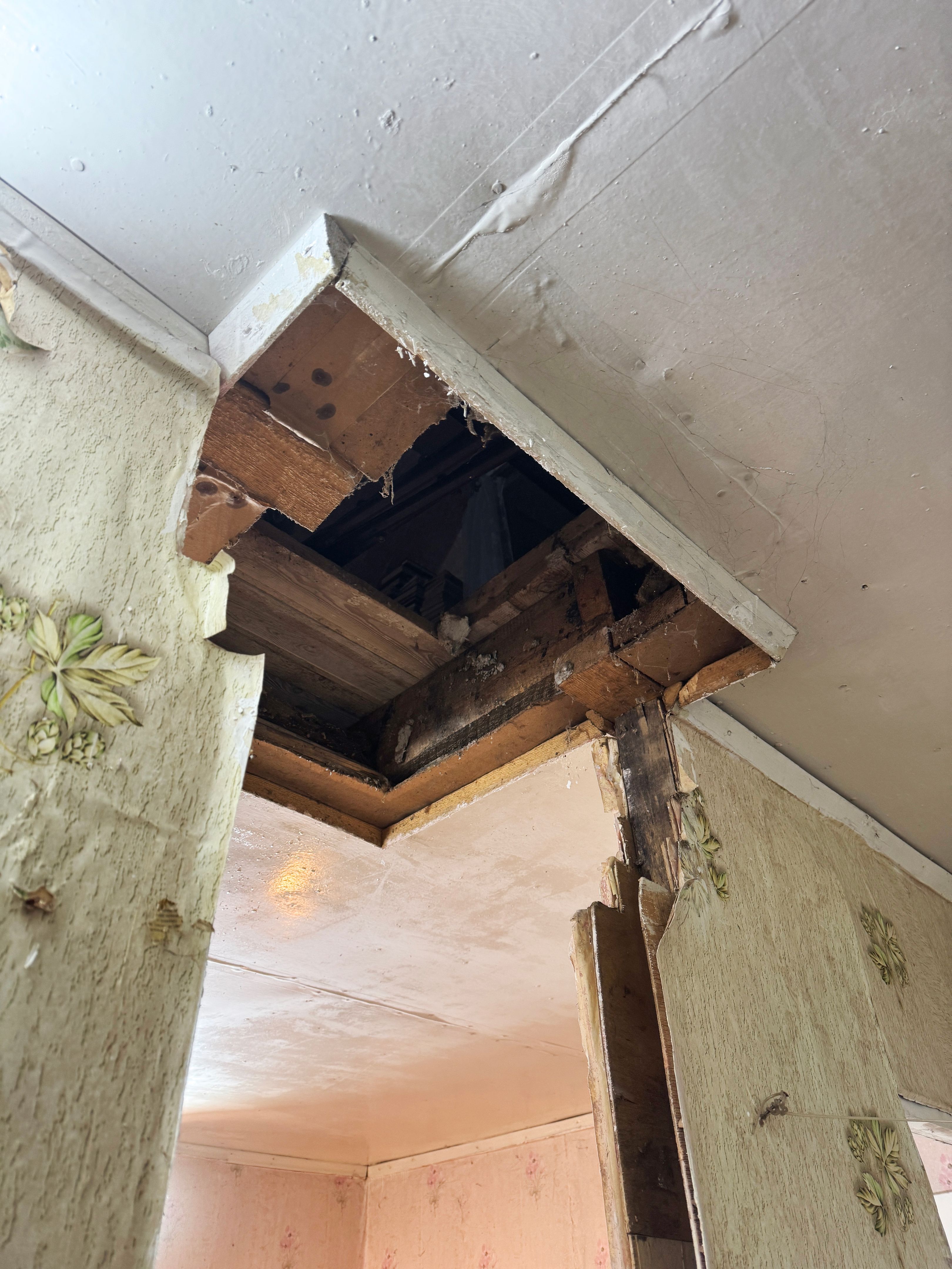 historic home remodel