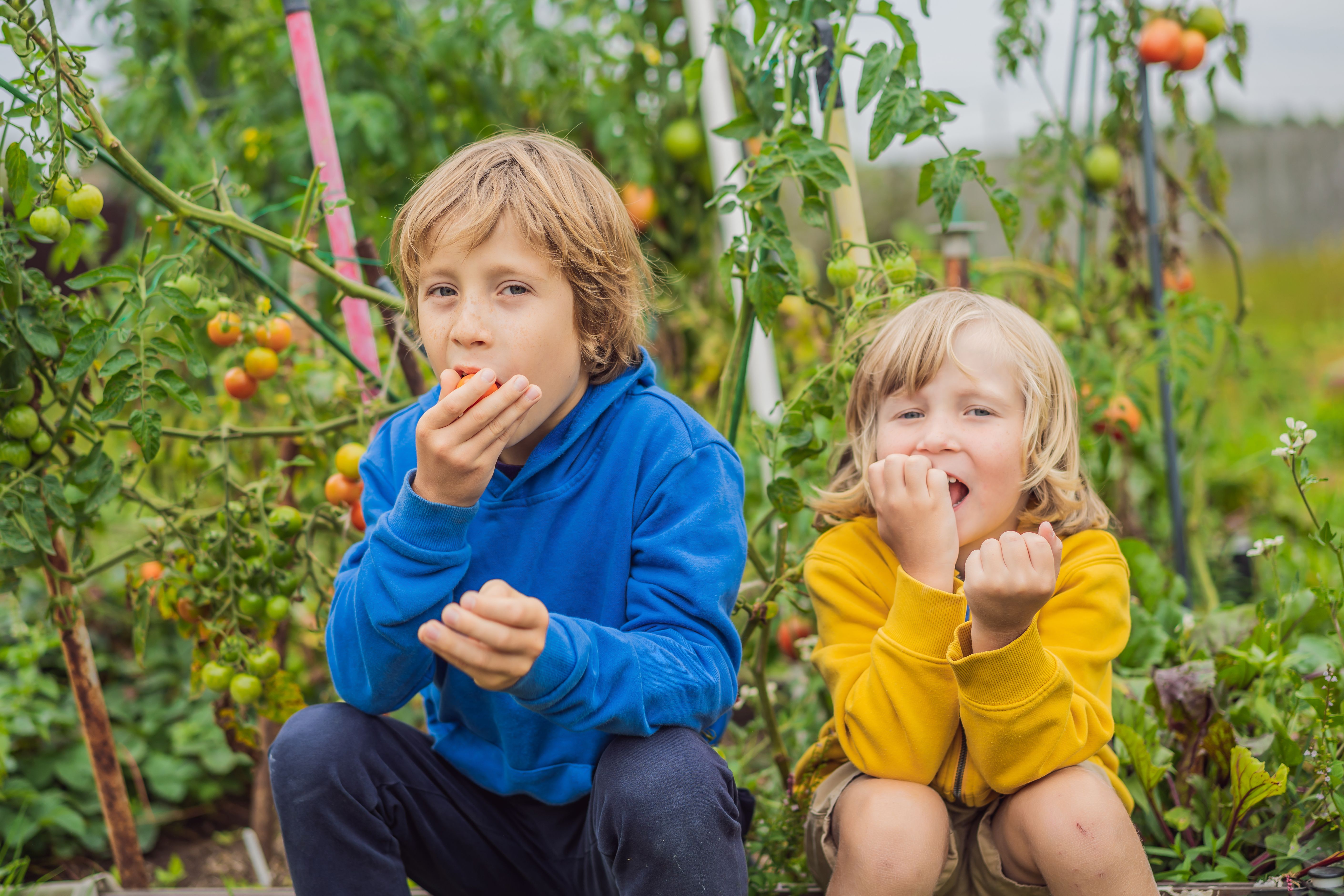 unschooling children