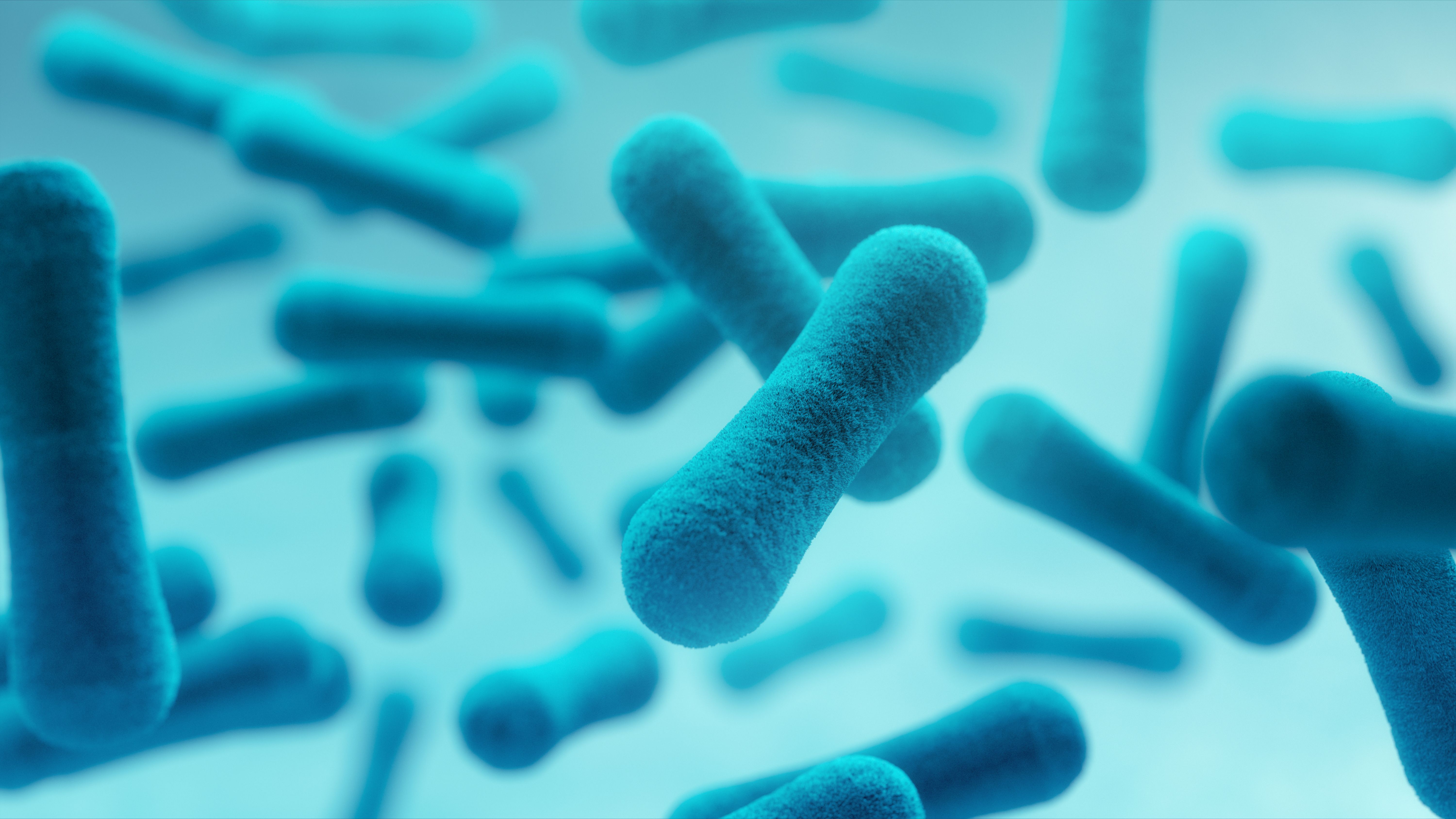 probiotics supplements