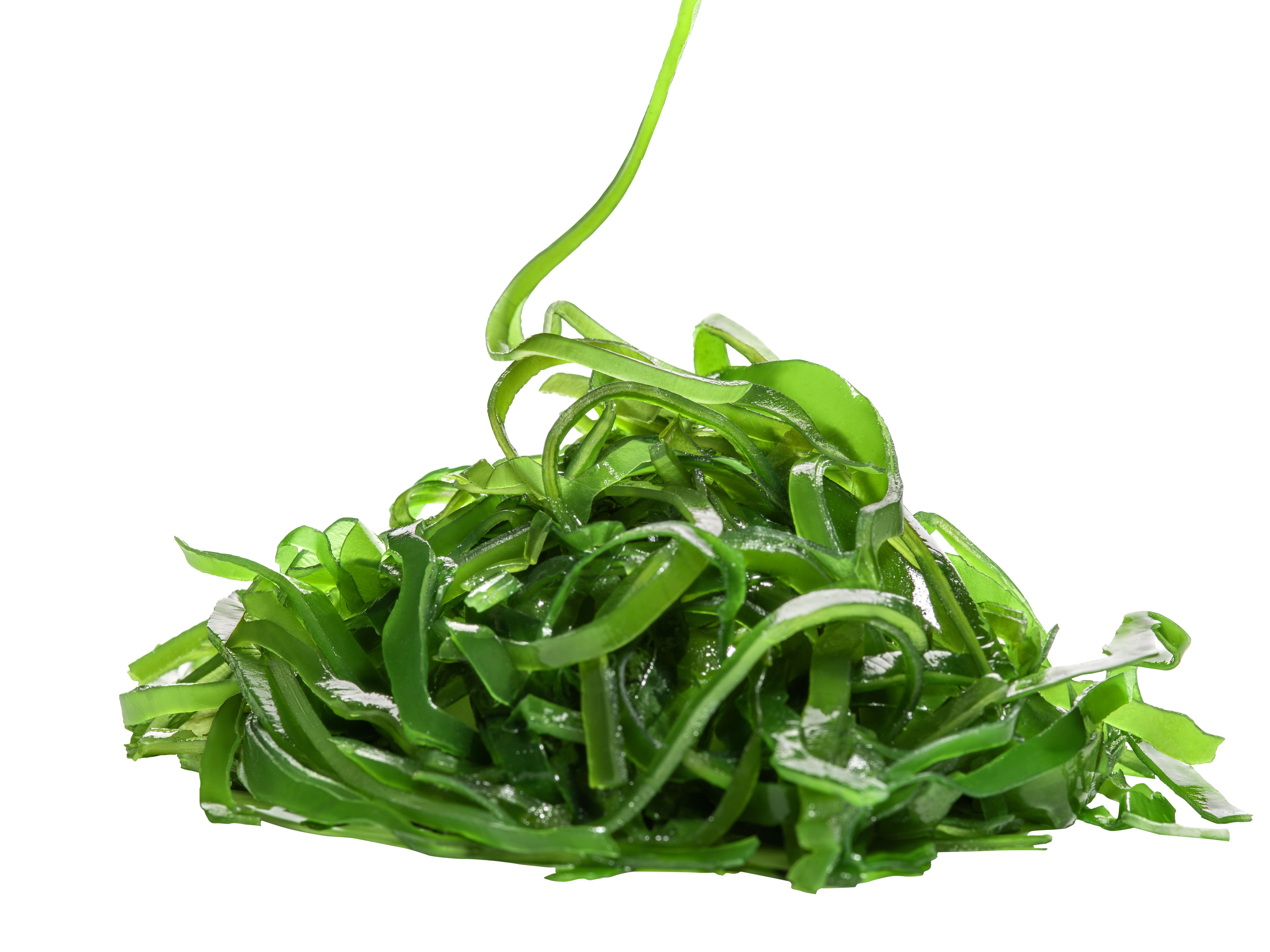 seaweed recipes