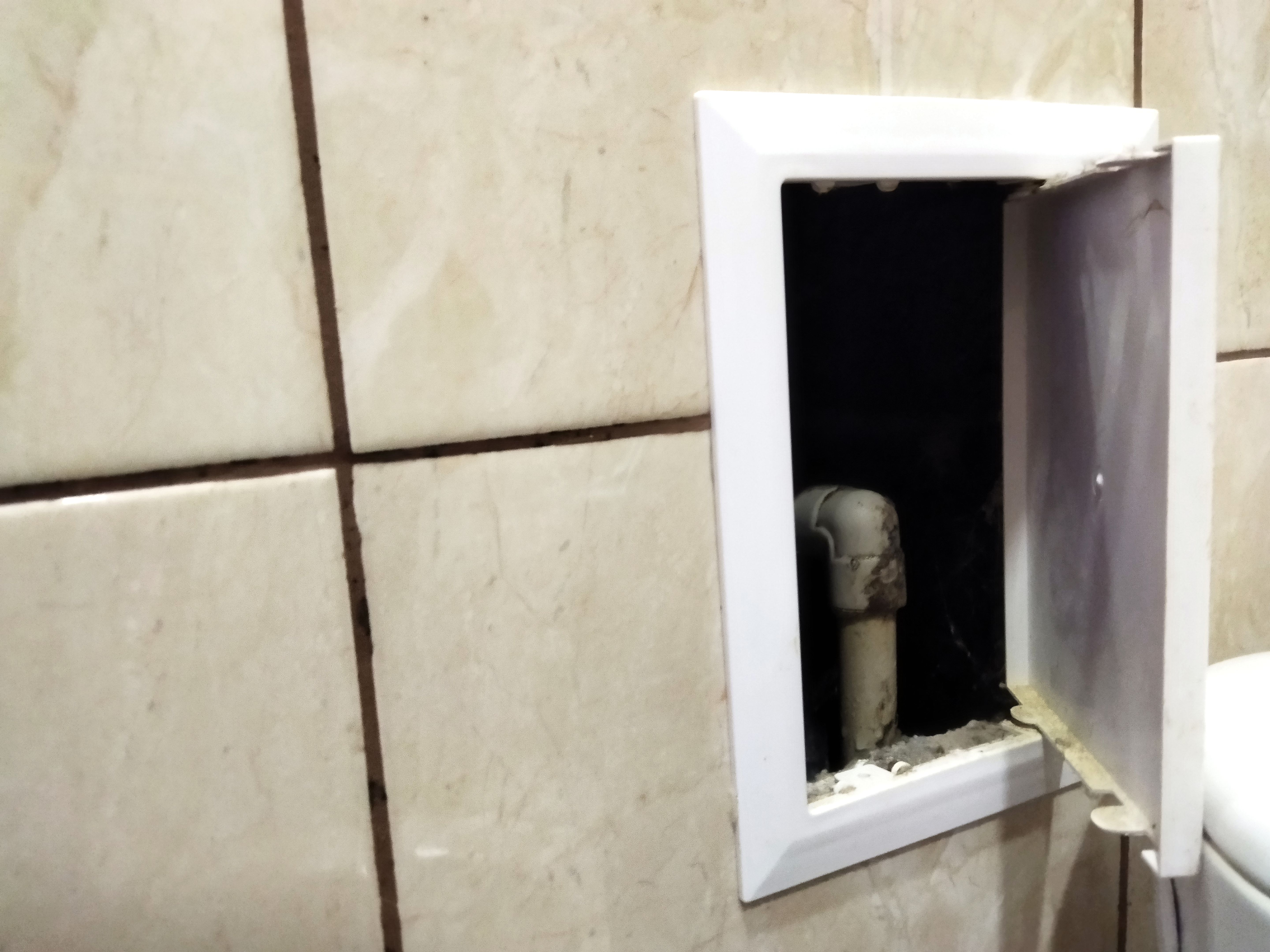 home cleanout planning