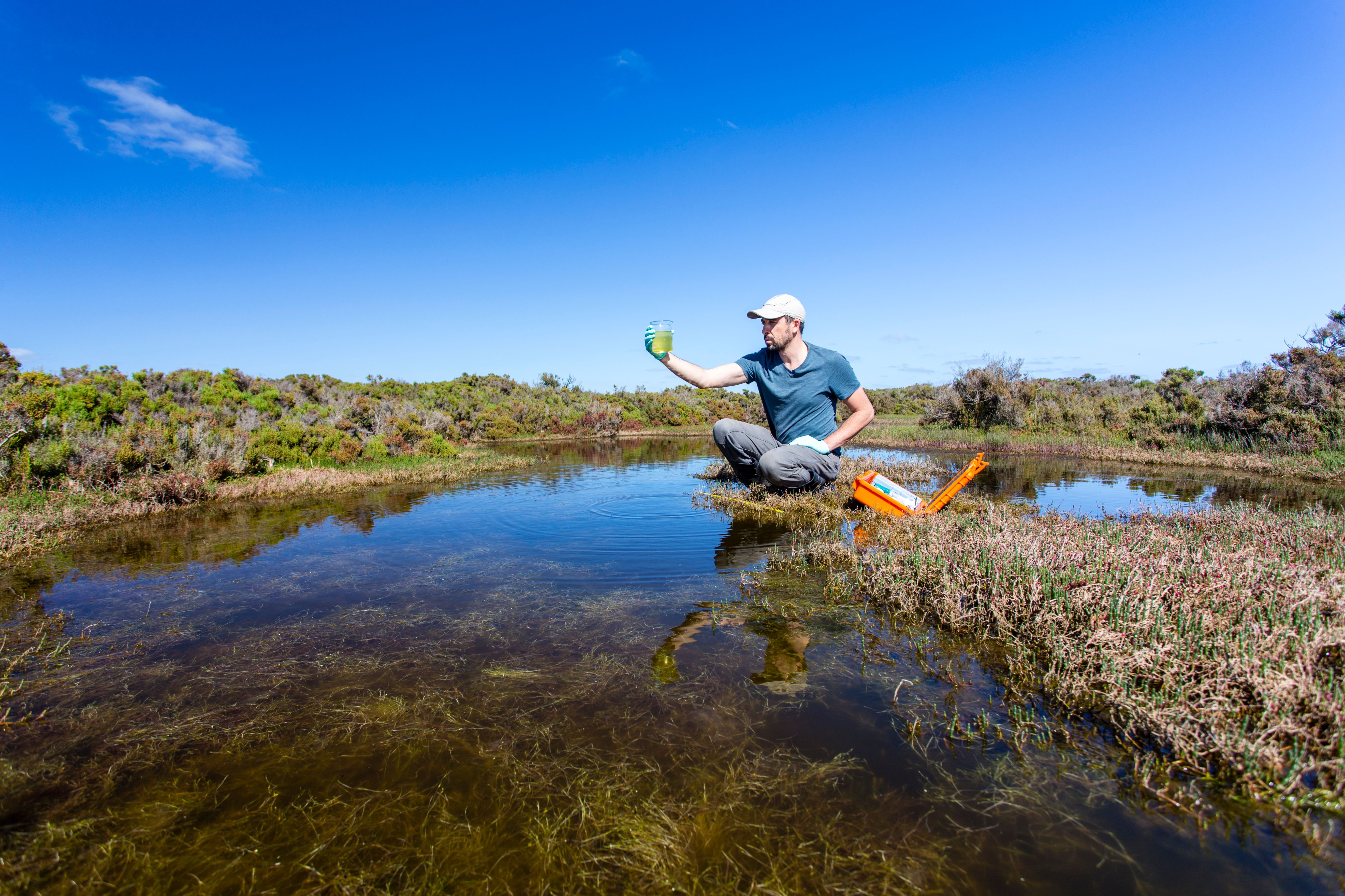 environment monitoring