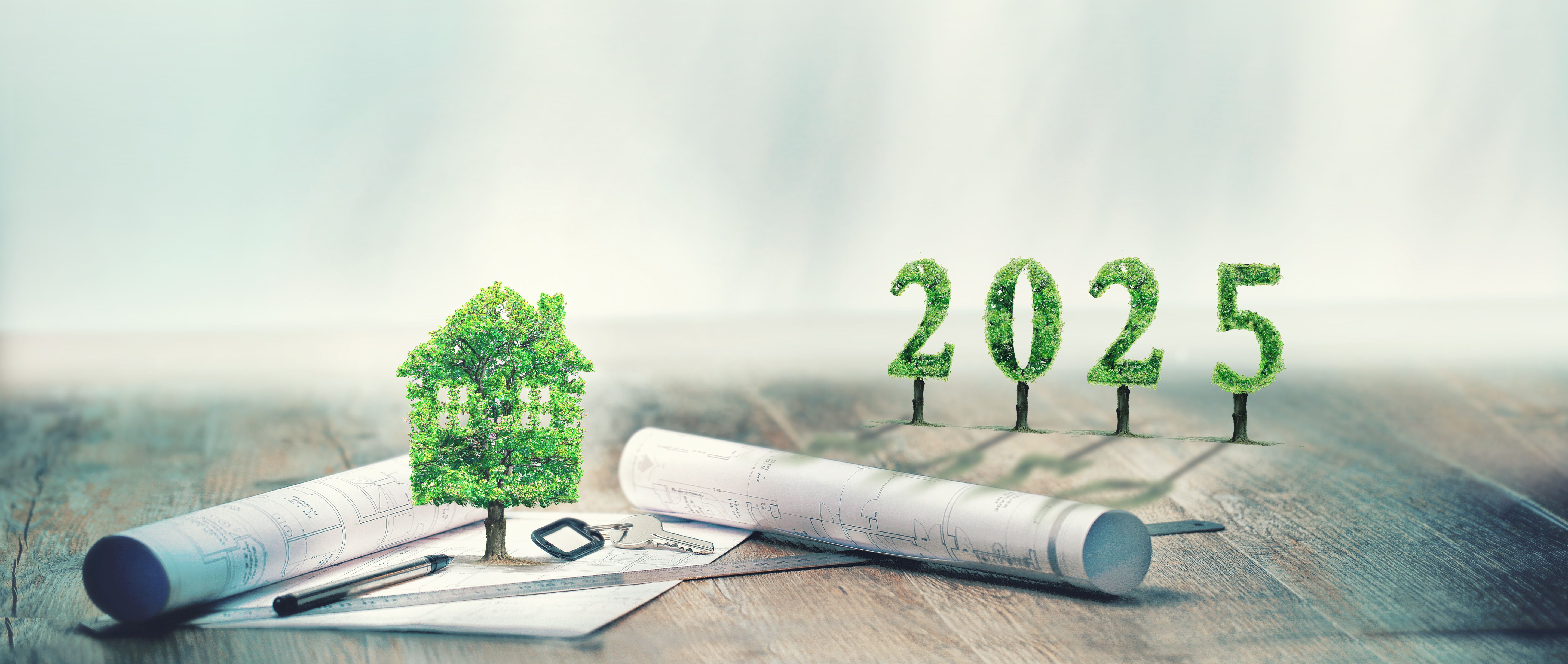 immobilier investissement