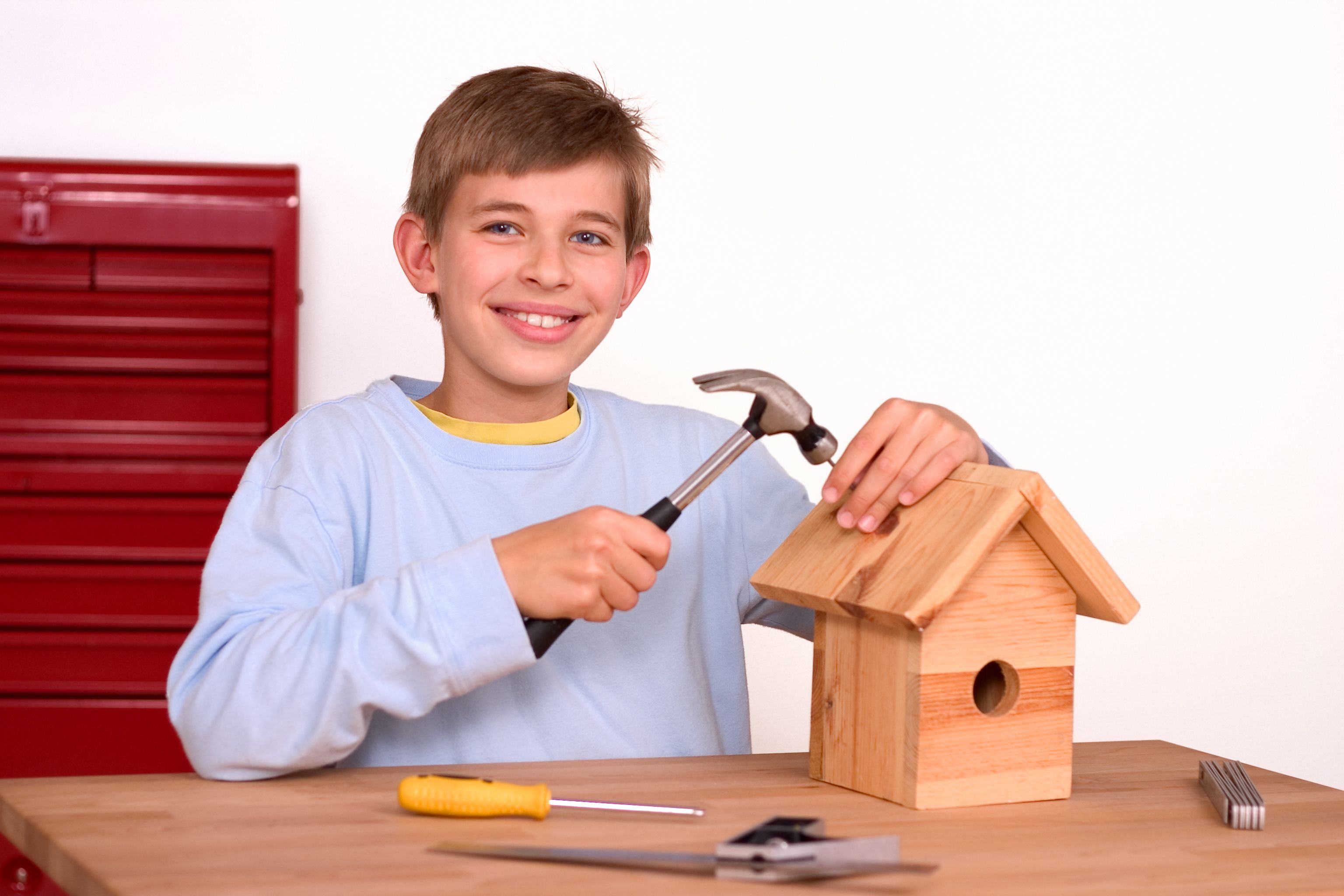 birdhouse building kids