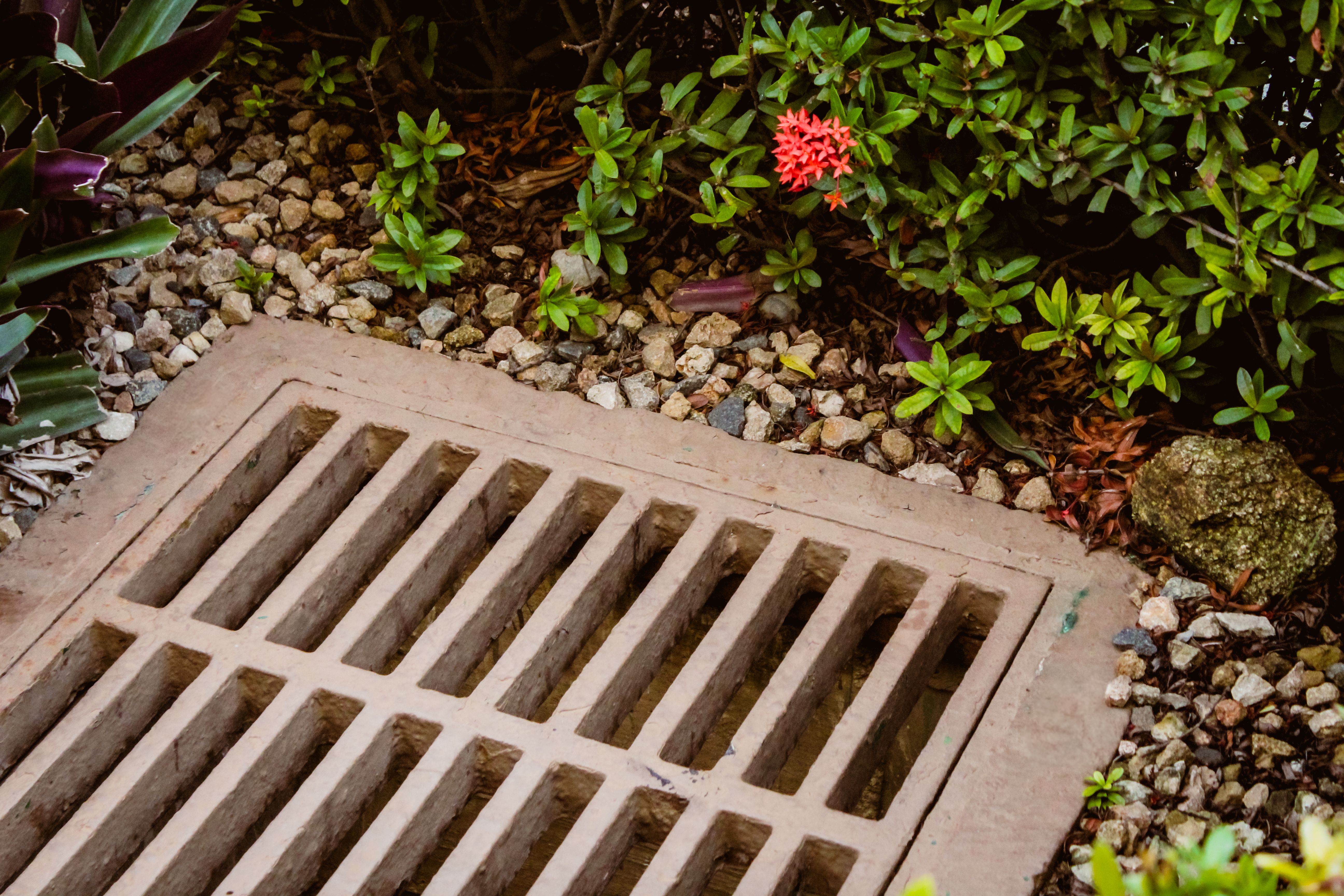 landscaping for drainage