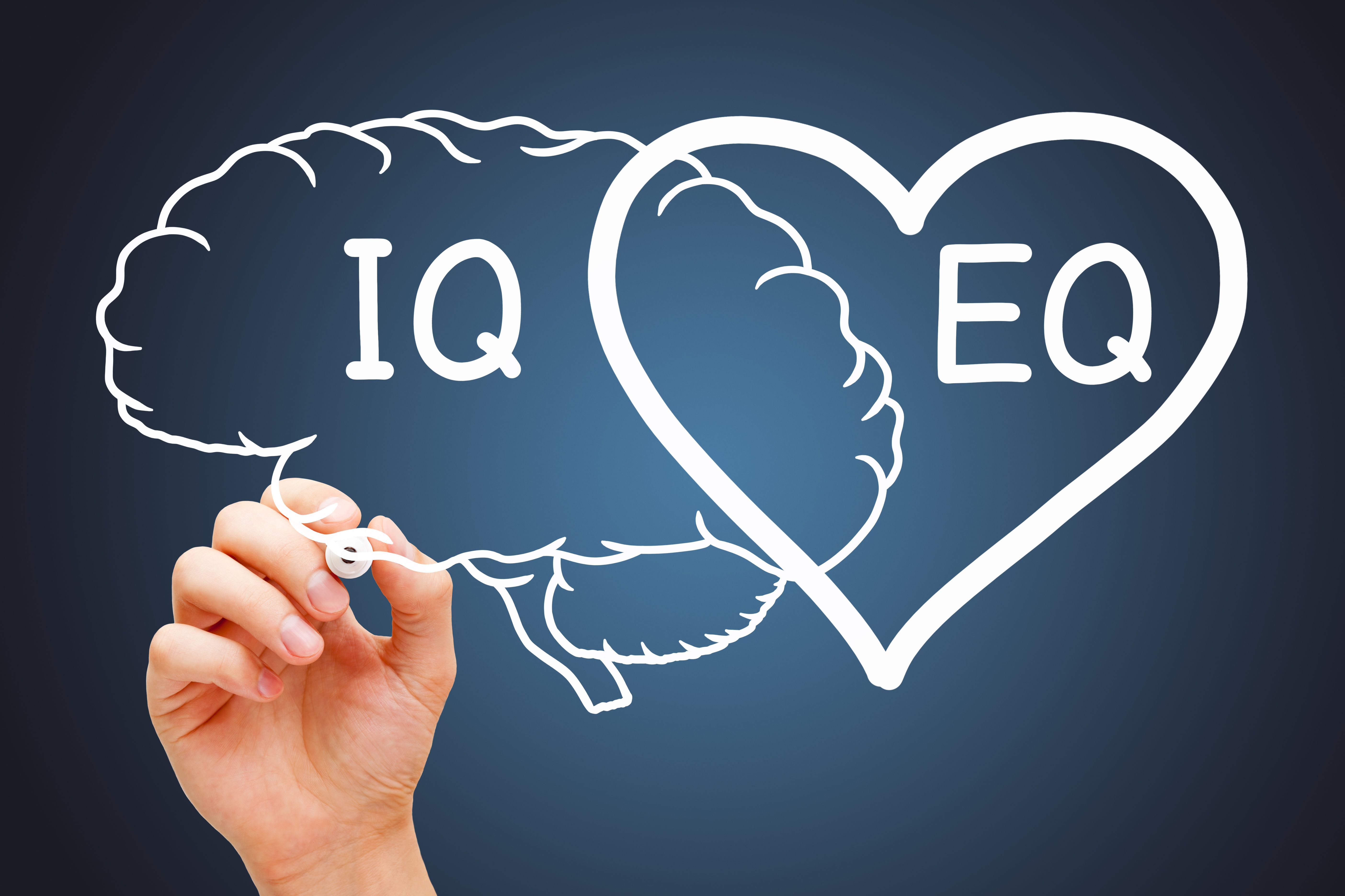 emotional intelligence