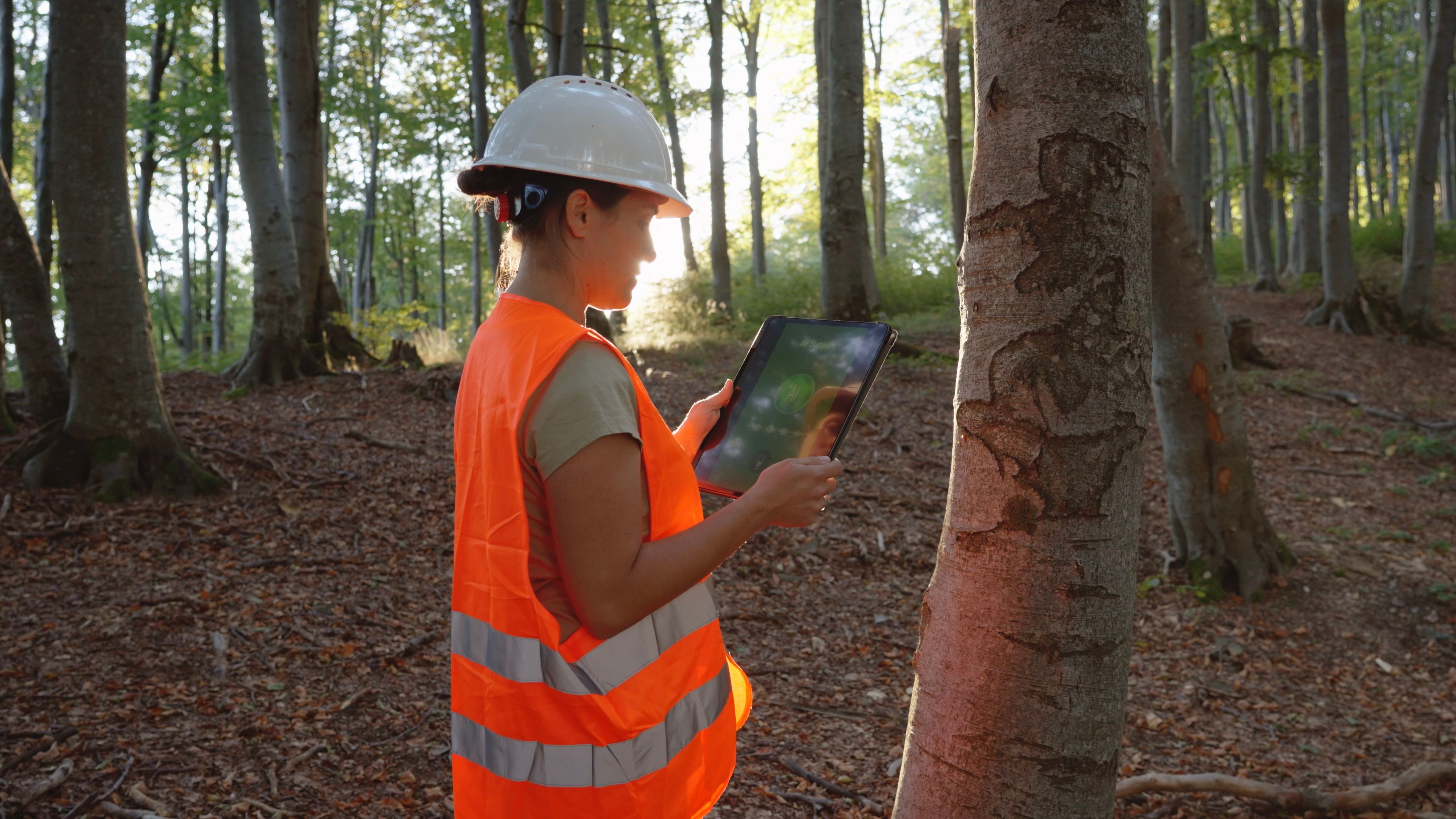 tree care technology