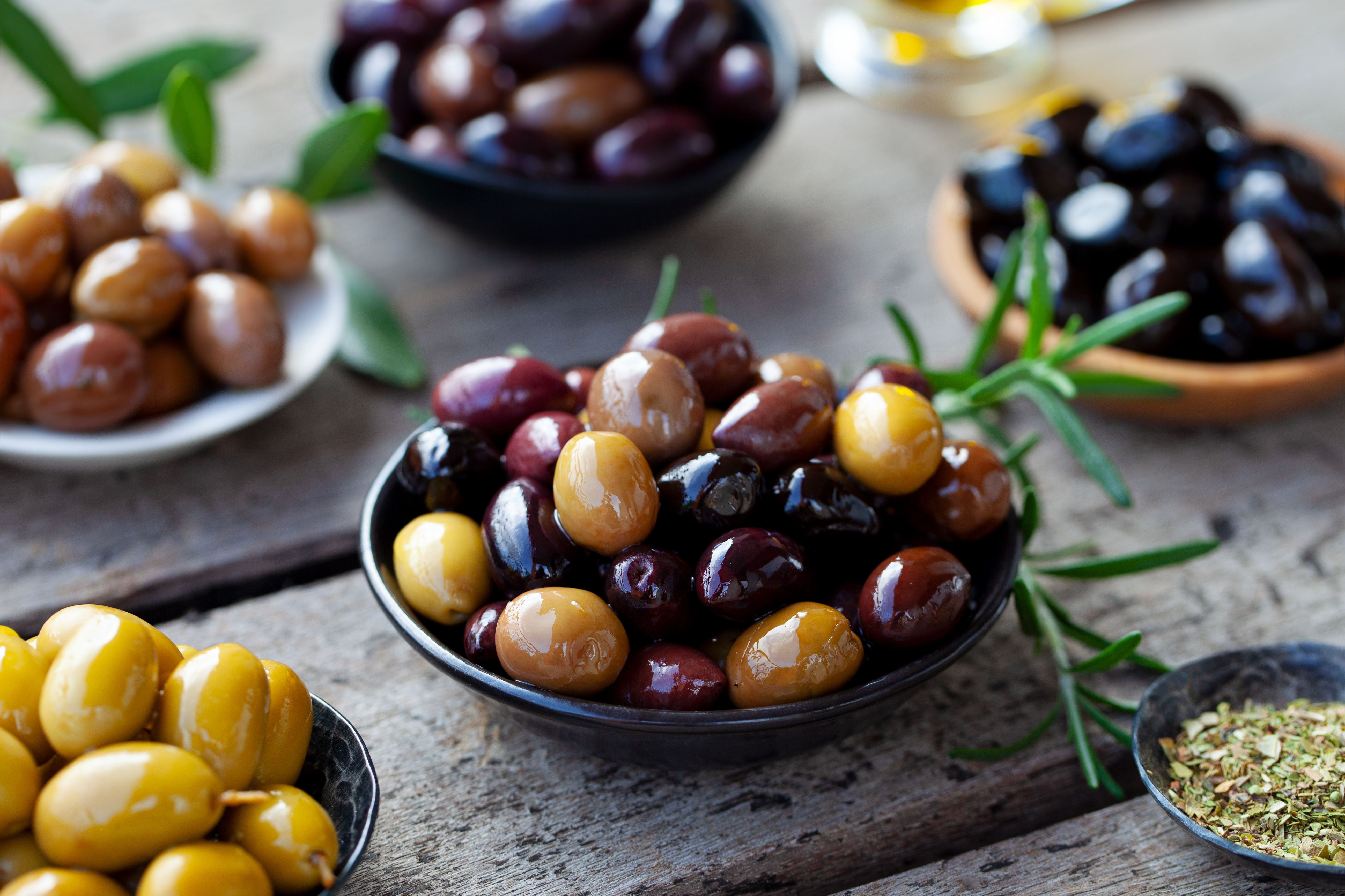 olive varieties