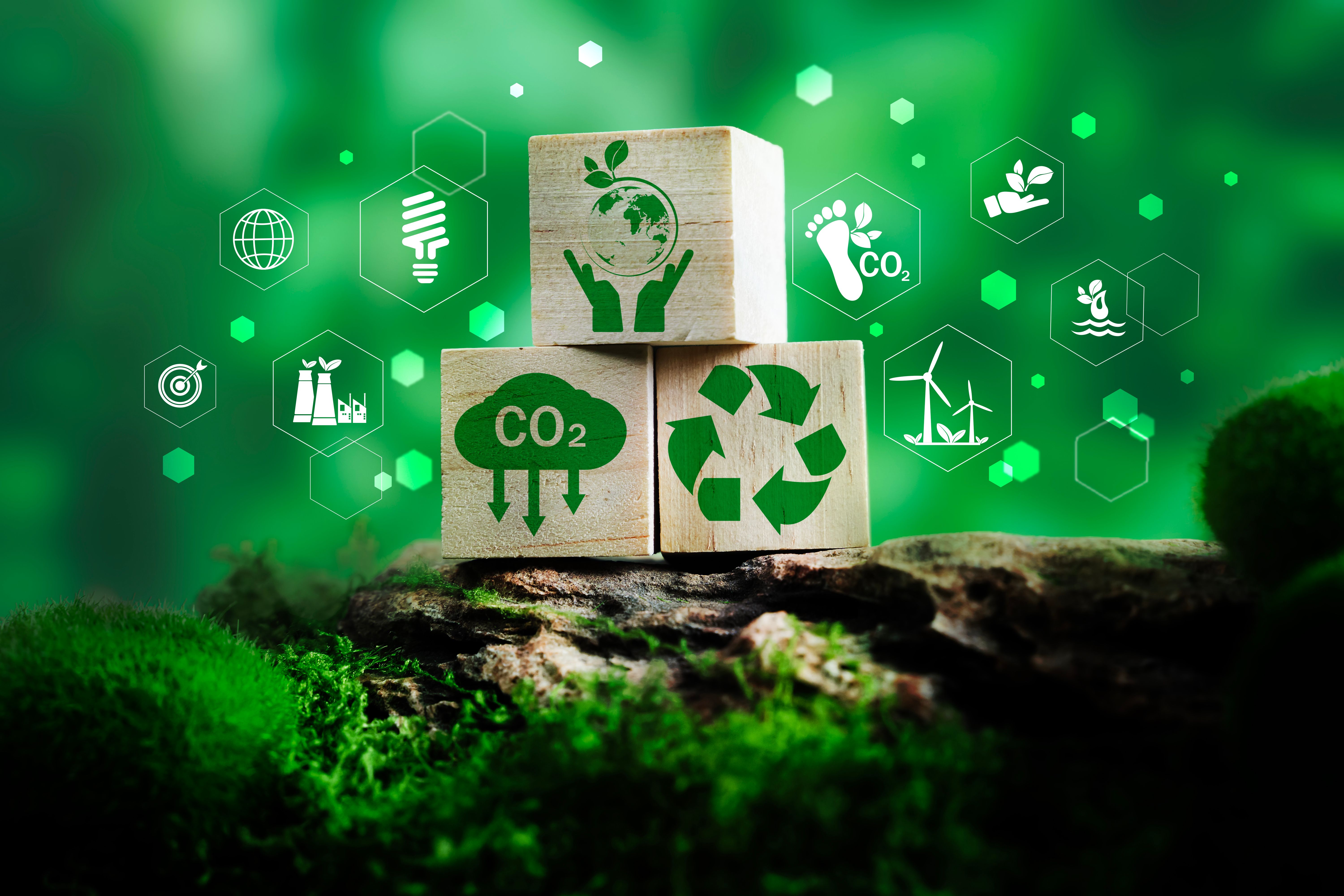 environmental sustainability