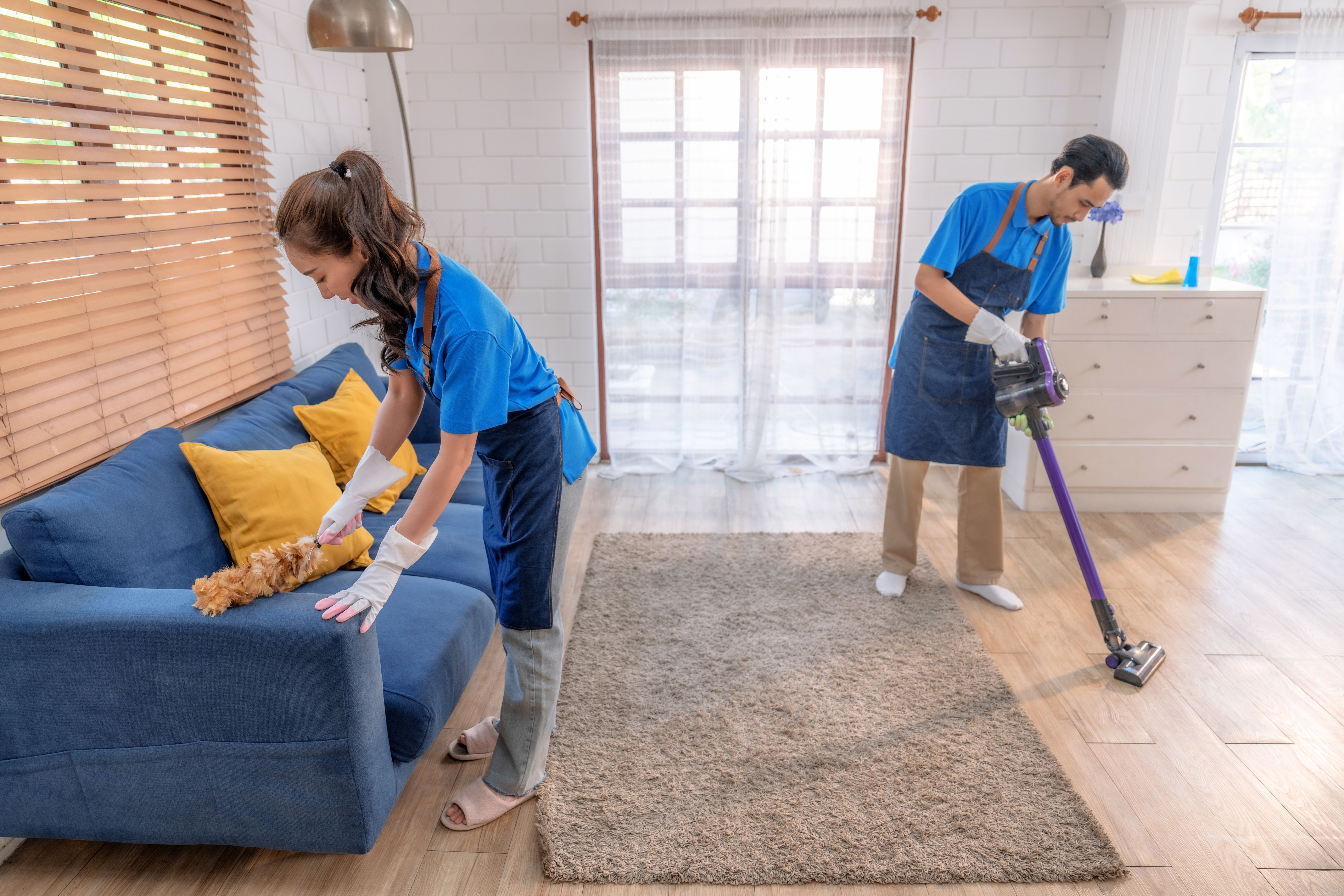 professional house cleaning
