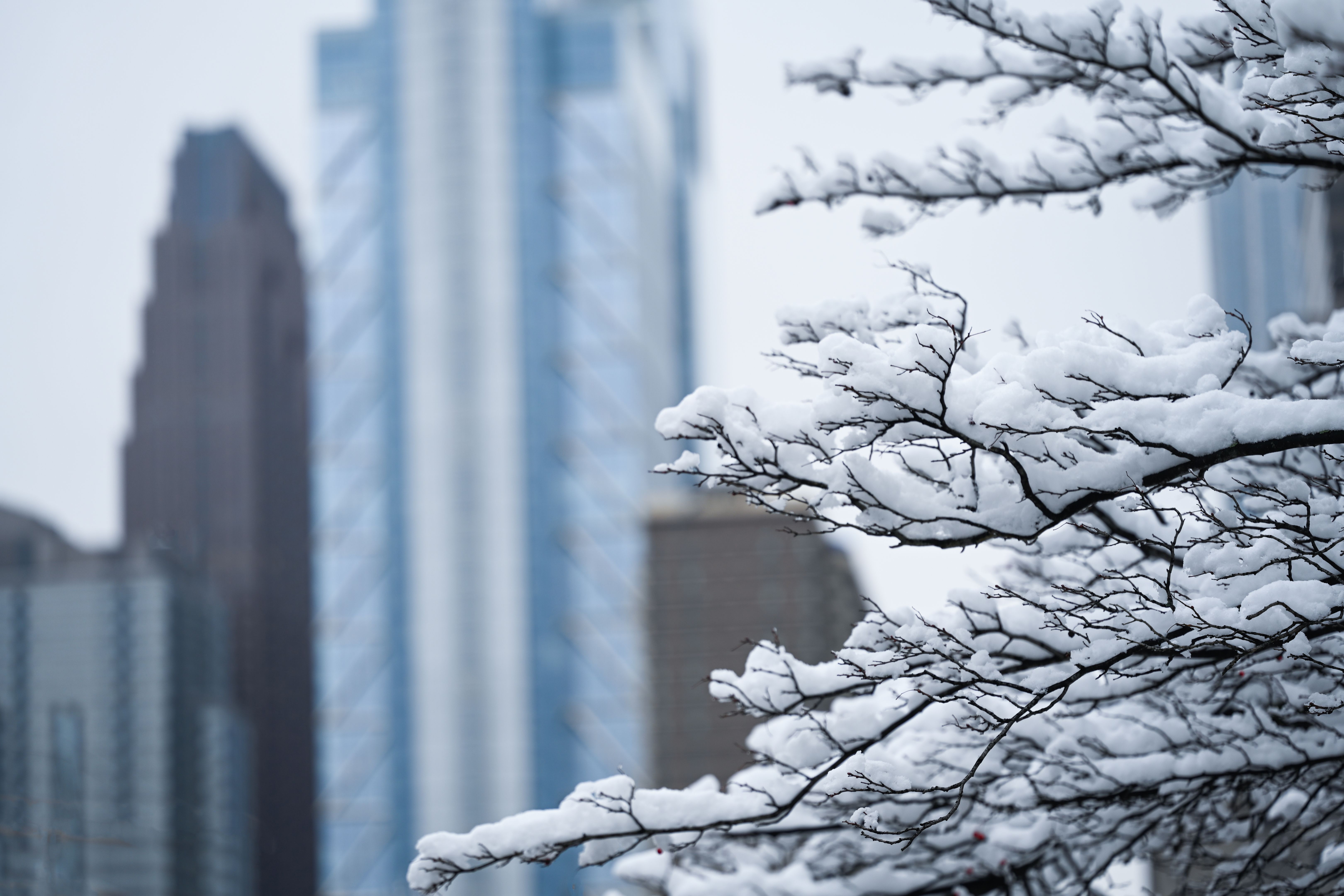 seasonal changes in city