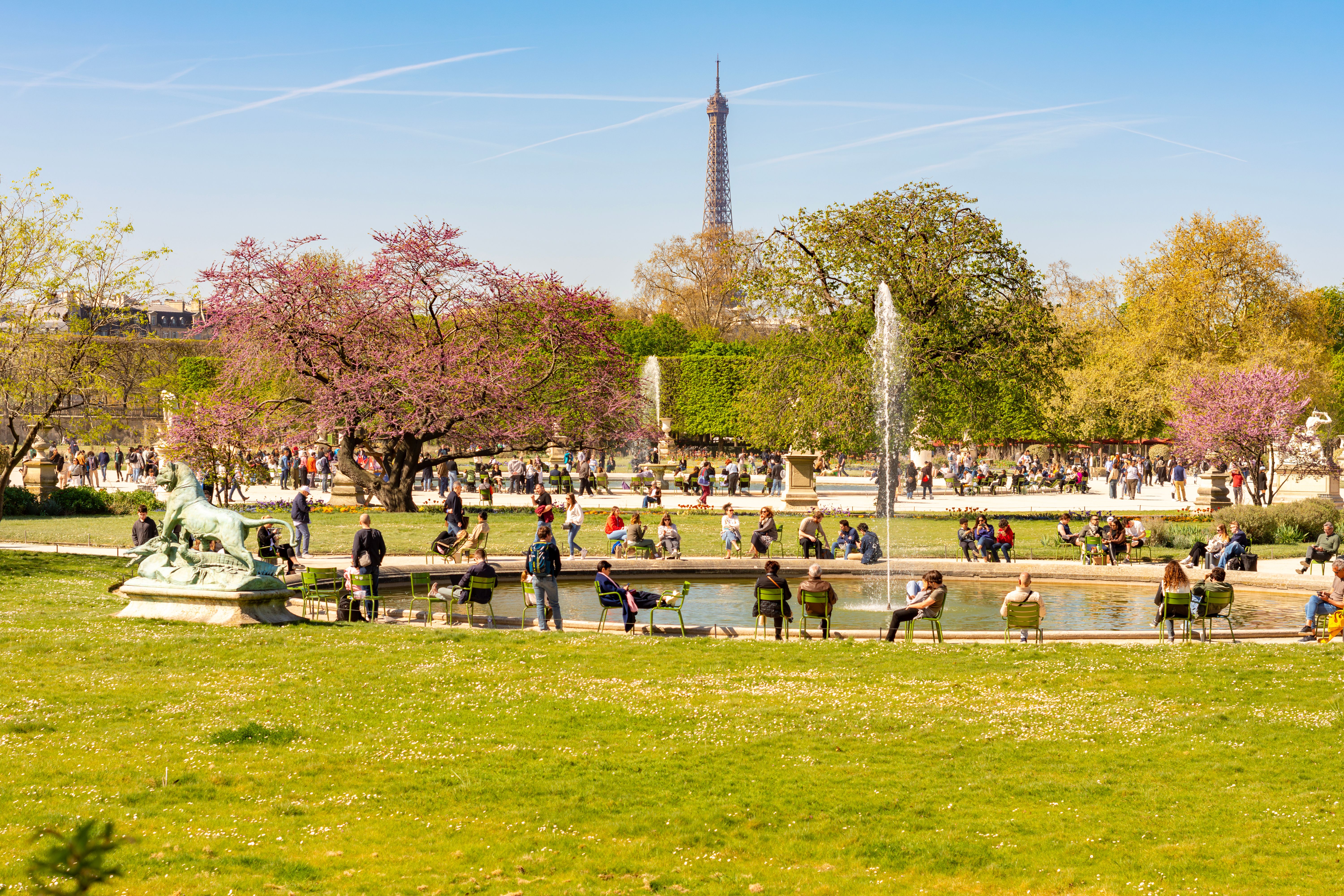 jardin des tuileries