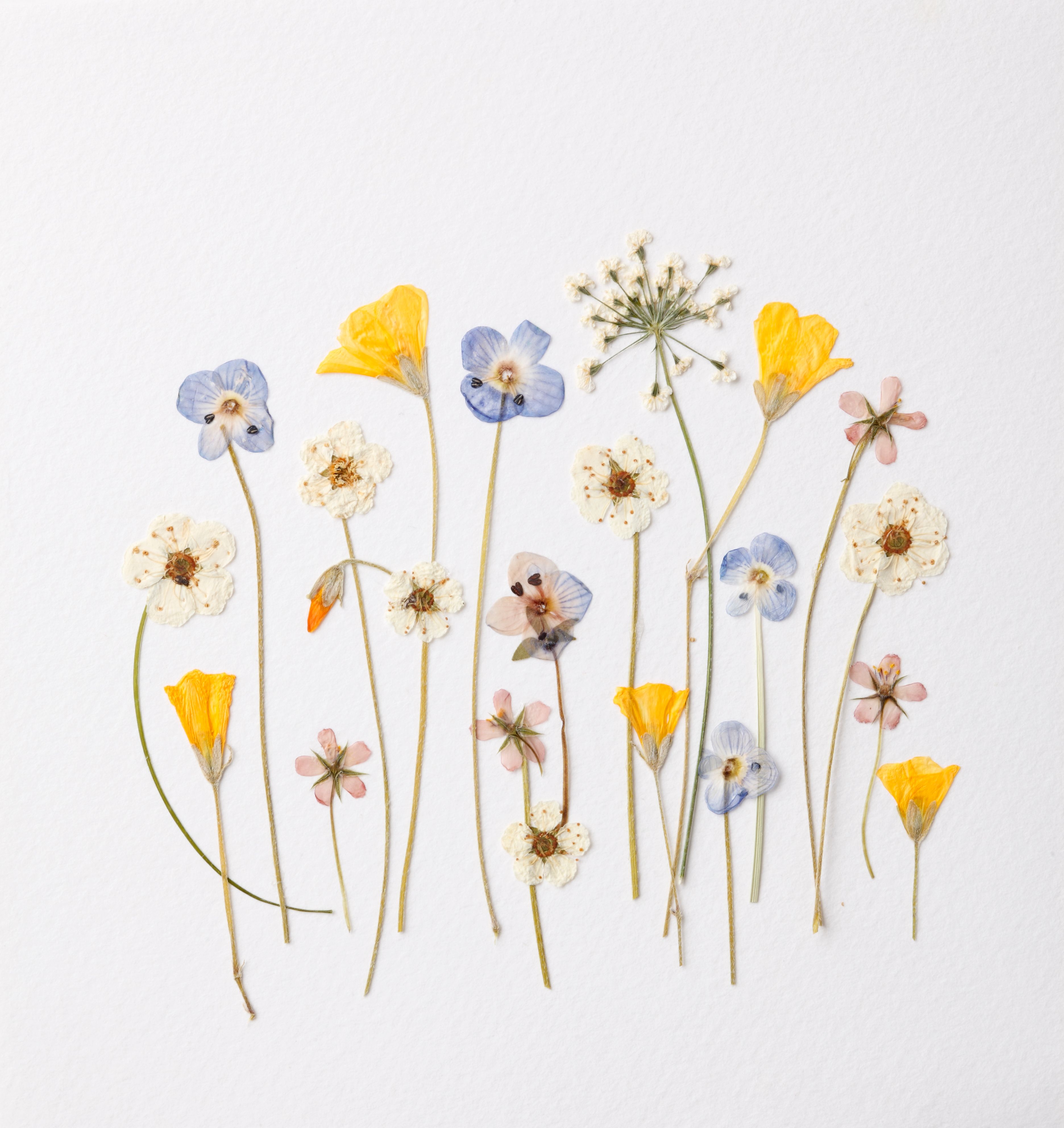 dried flower arrangement