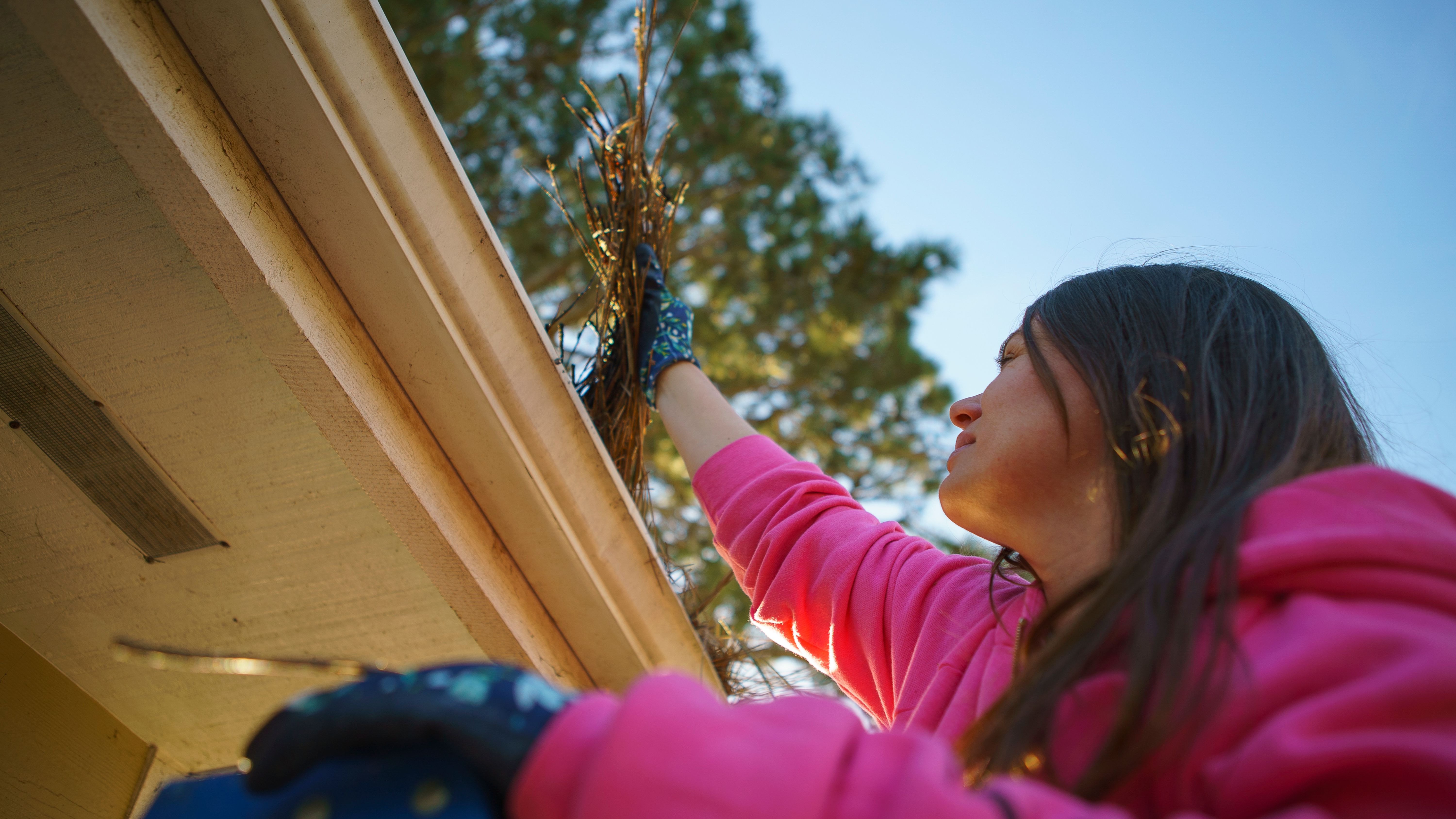 home exterior cleaning