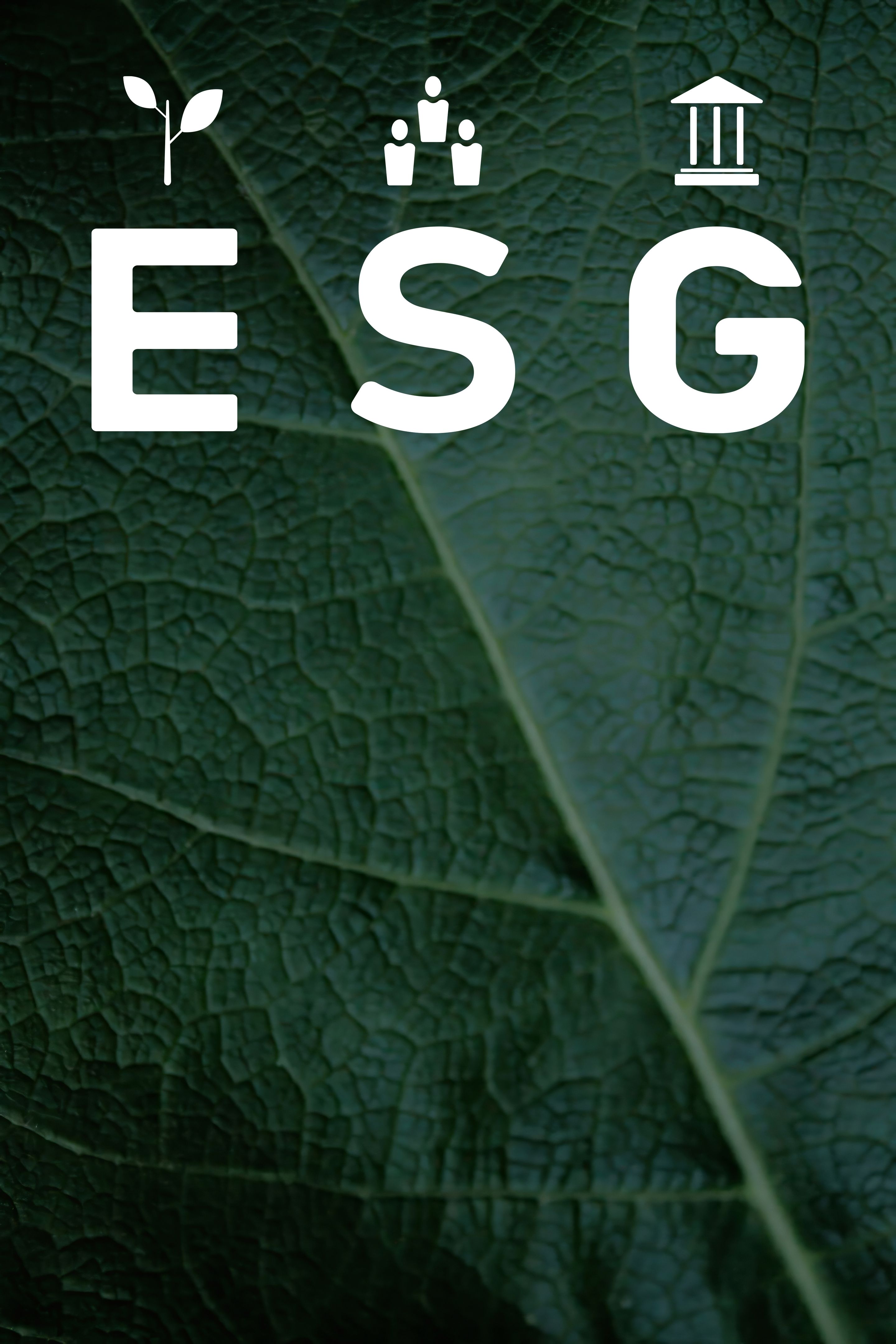 comparación ESG