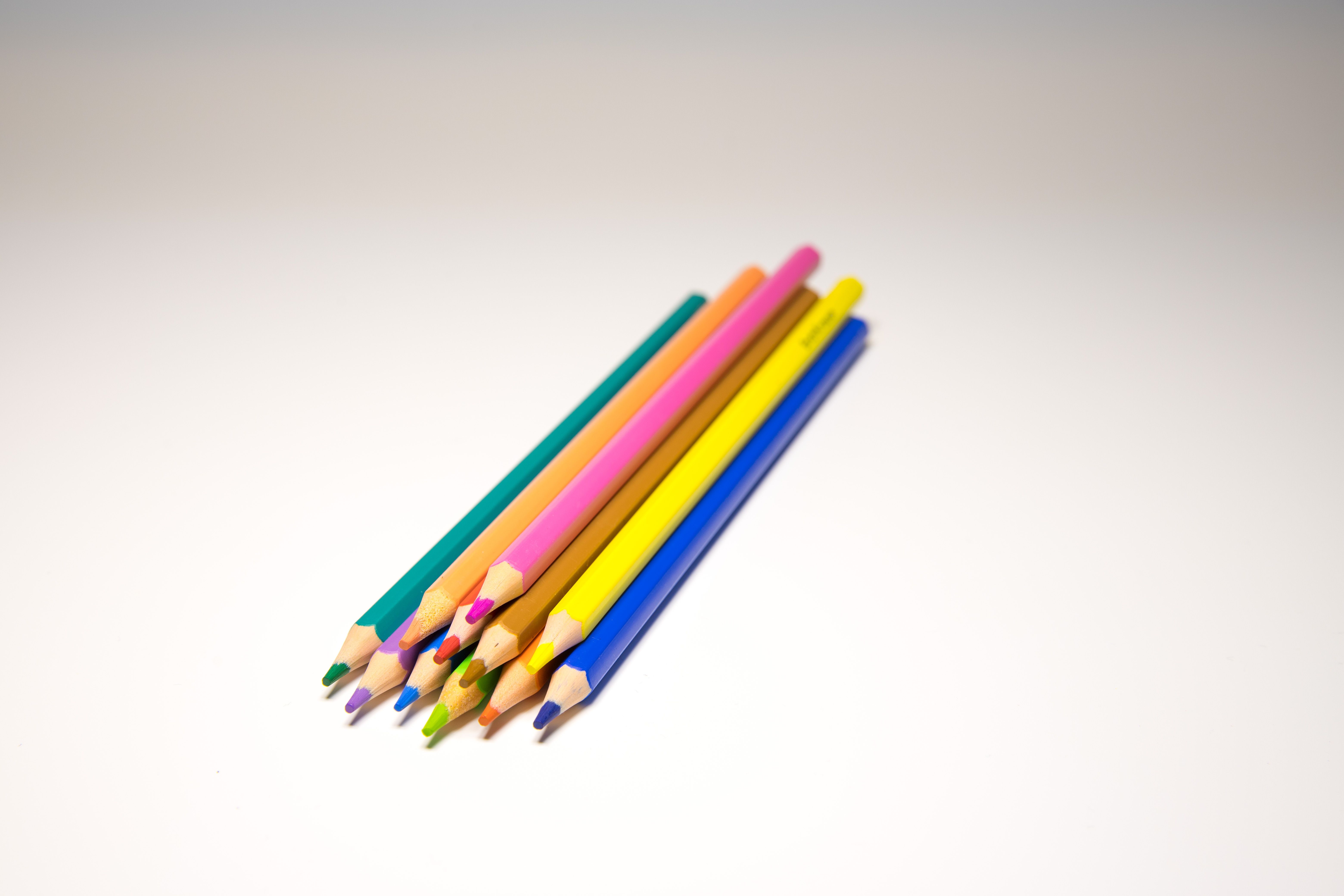 website color palette