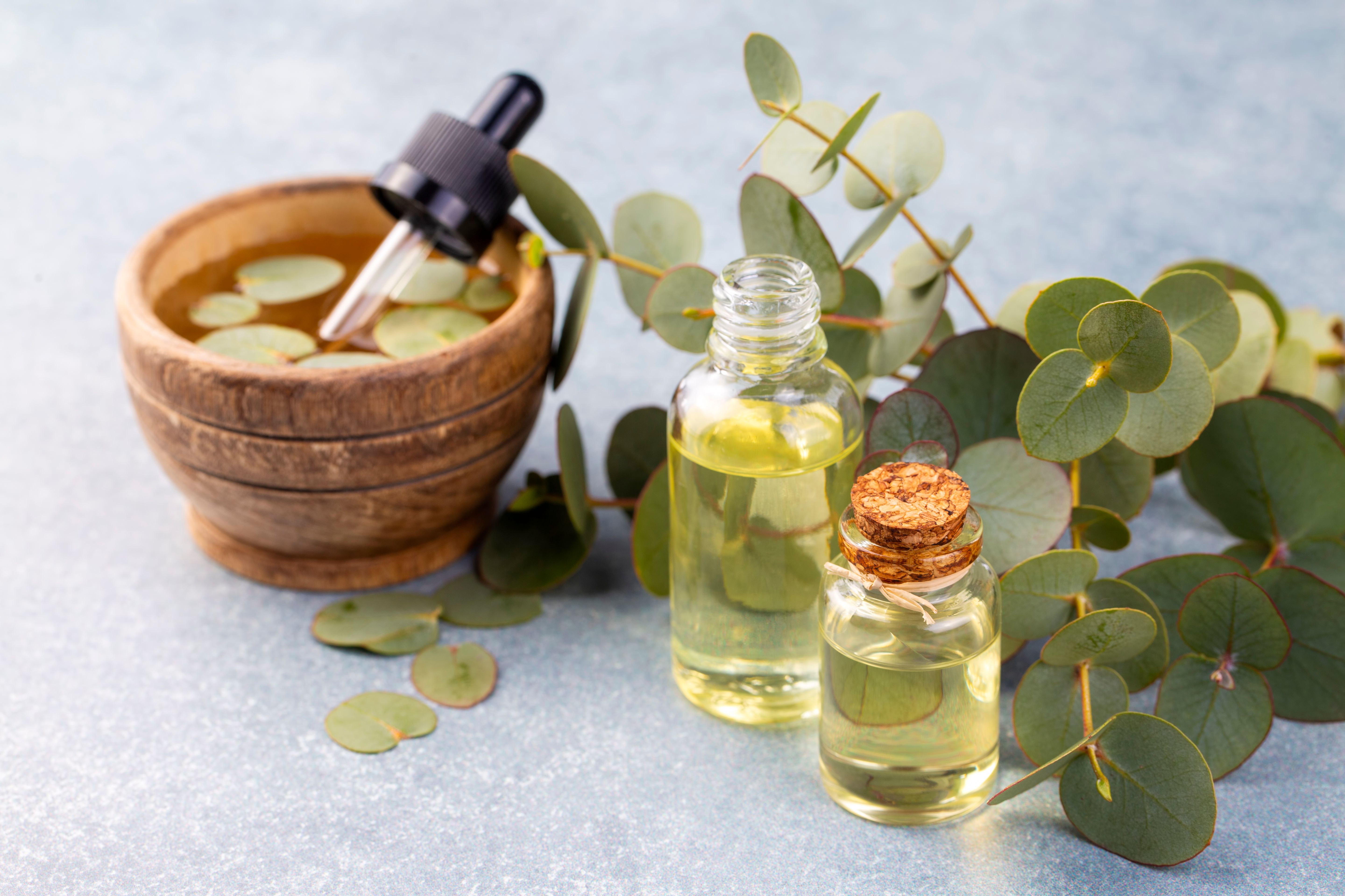 Eucalyptus leaves and essential oil Eucalyptus leaves and essential oil