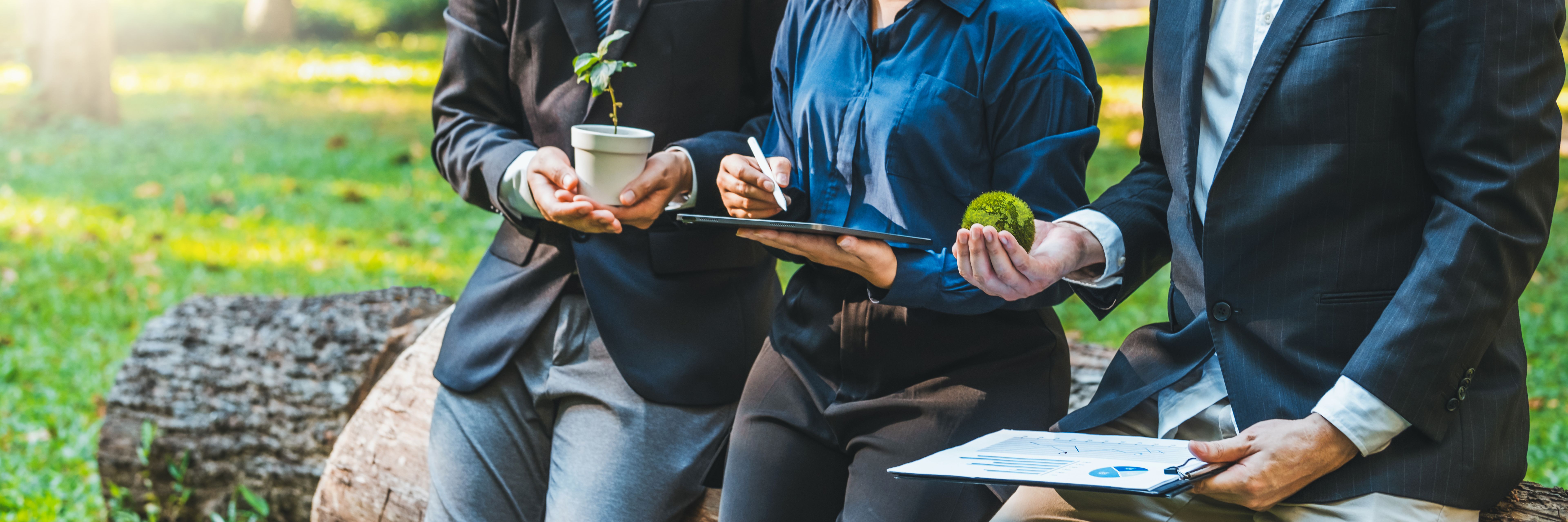 consultoria ambiental