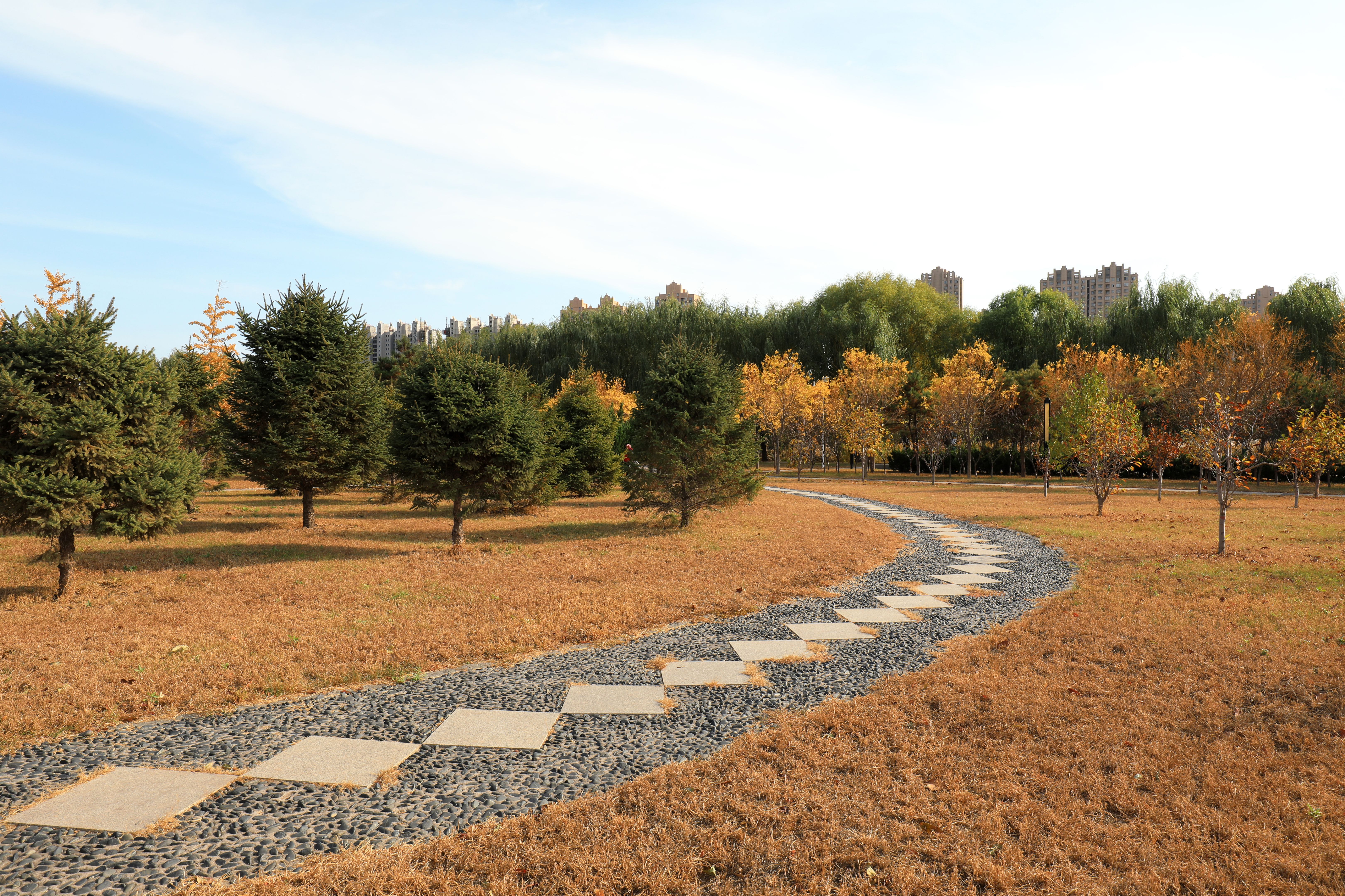 Autumn park scenery, North China
