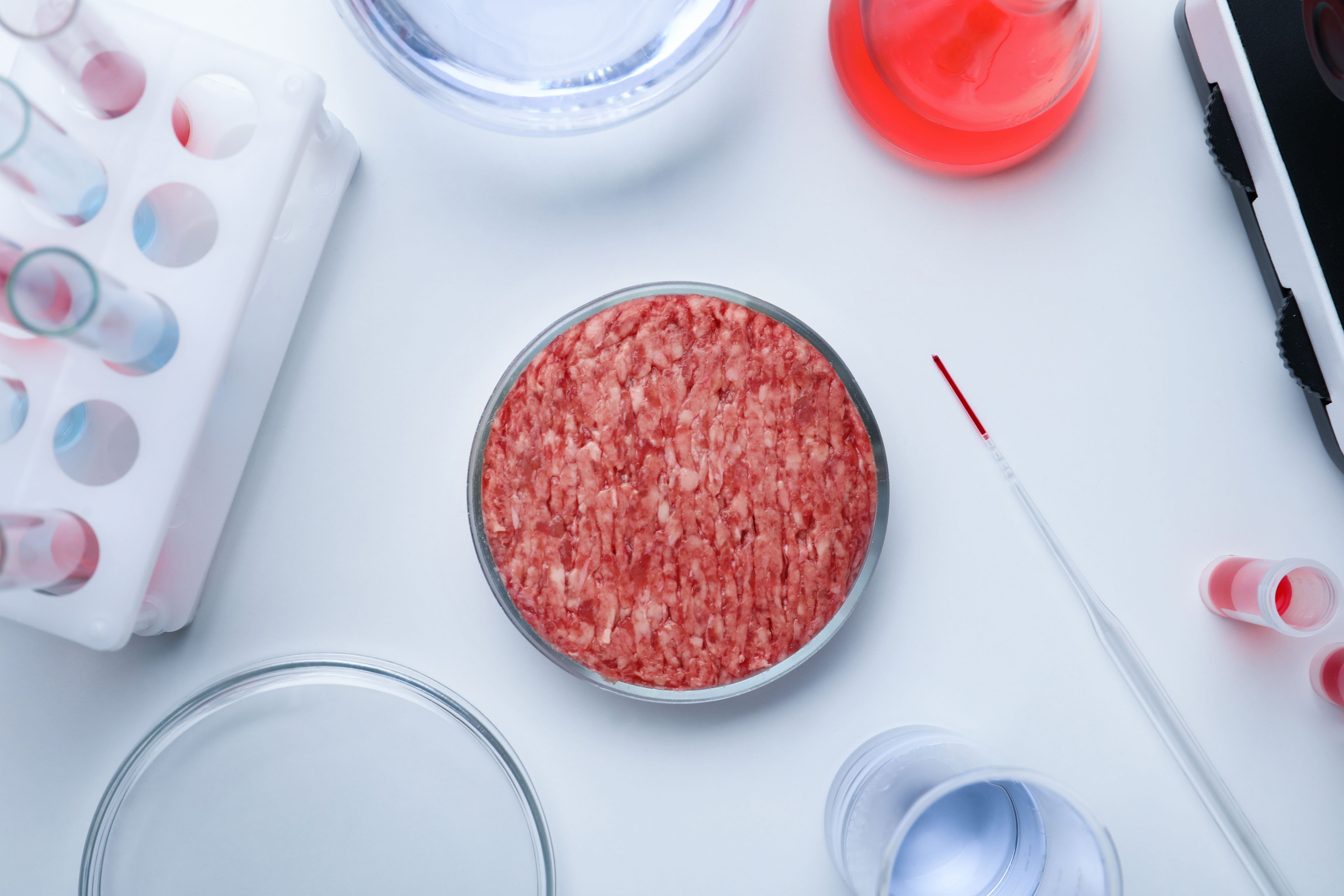 Sample of minced cultured meat on white lab table, flat lay Sample of minced cultured meat on white lab table, flat lay