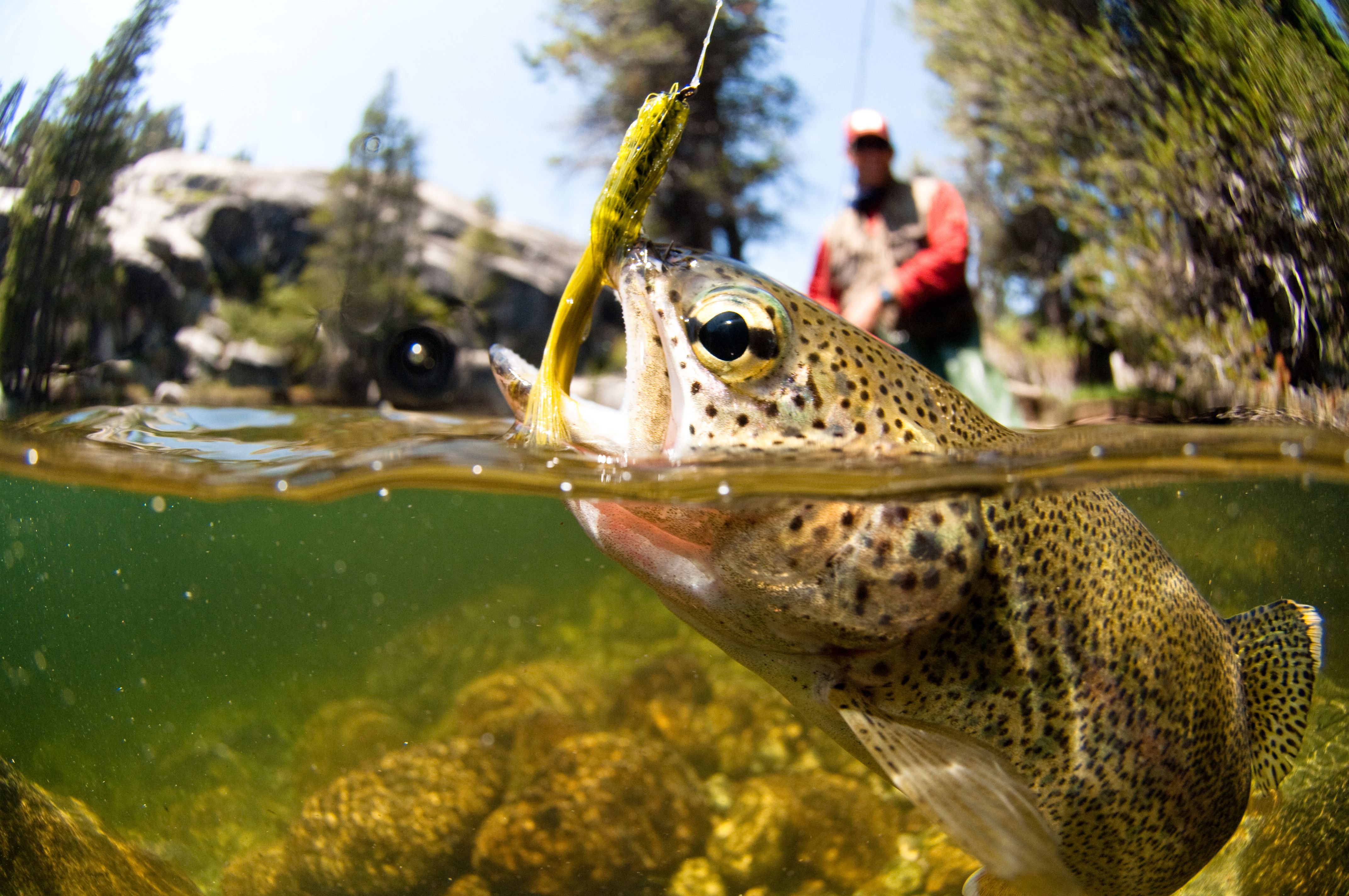fishing