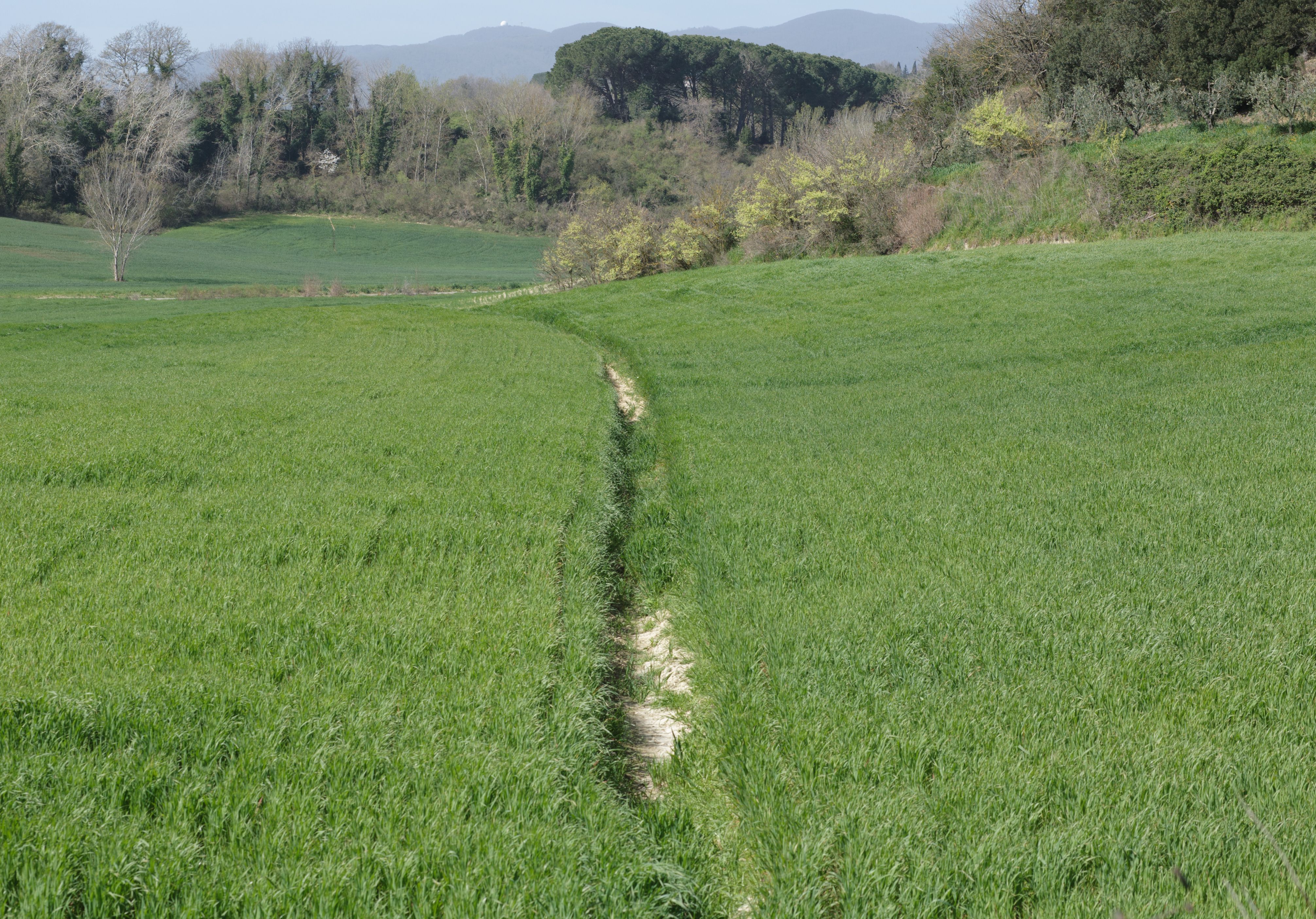 long-distance-moving