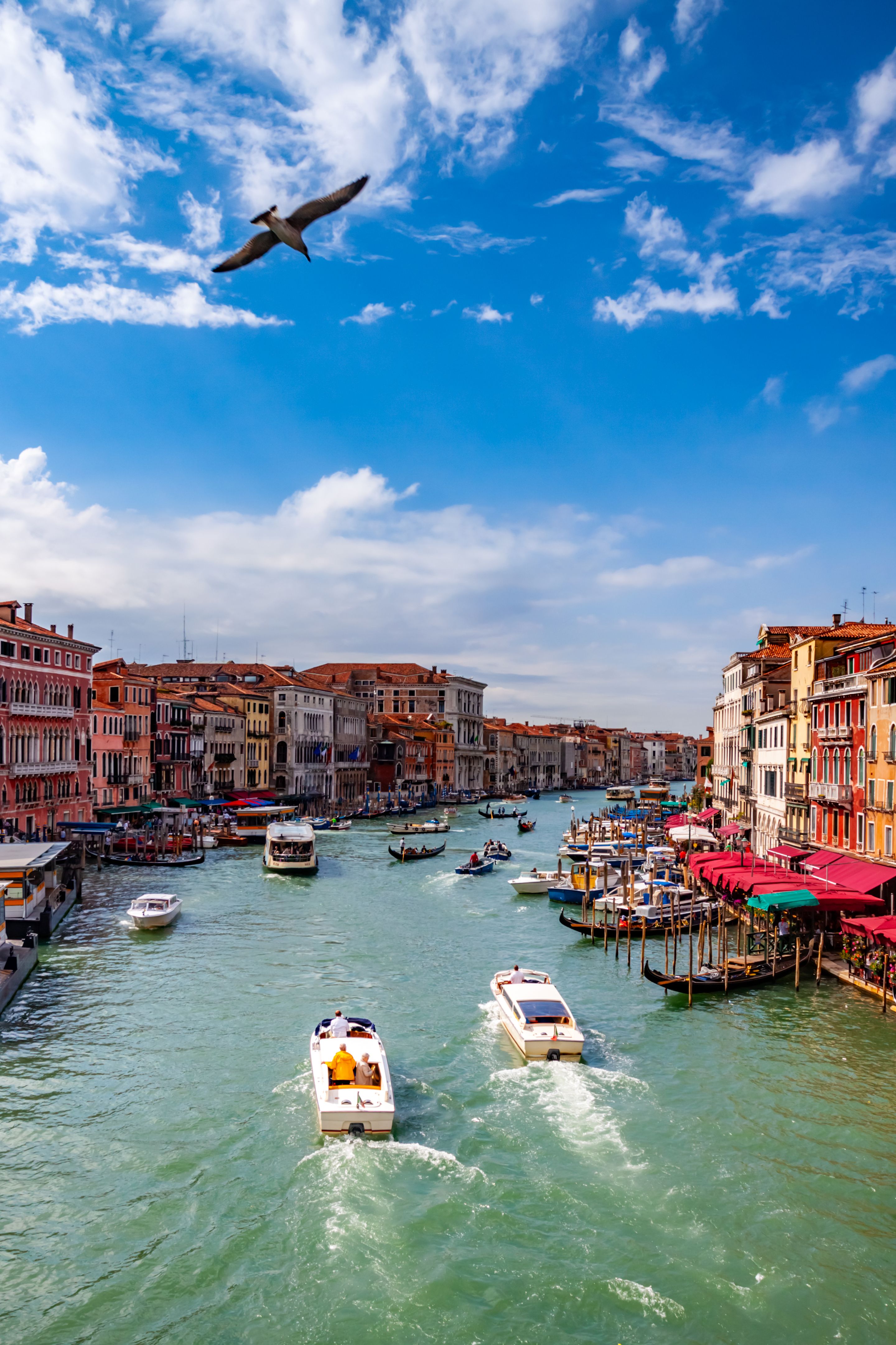 rialto bridge venice