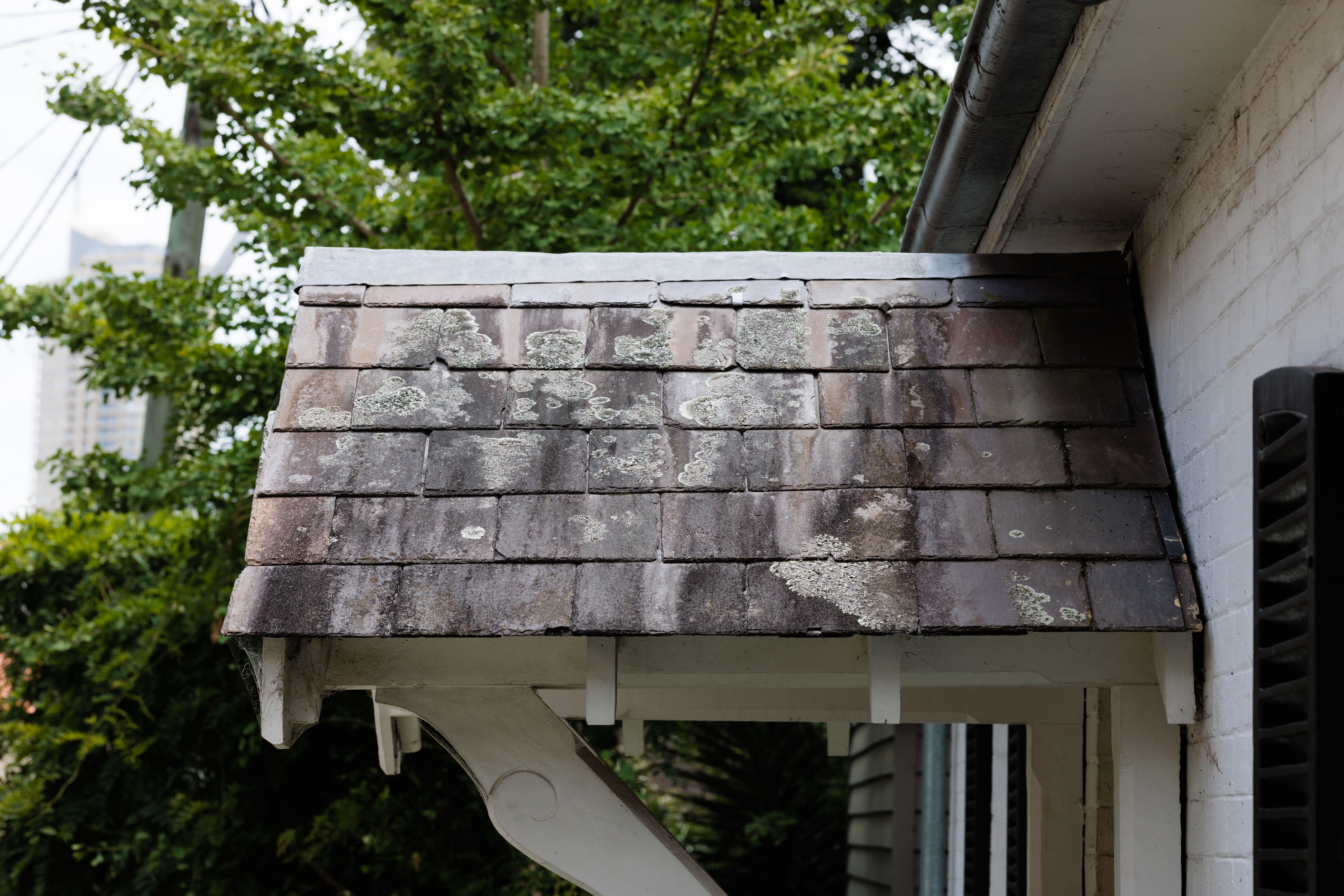 historic house roof