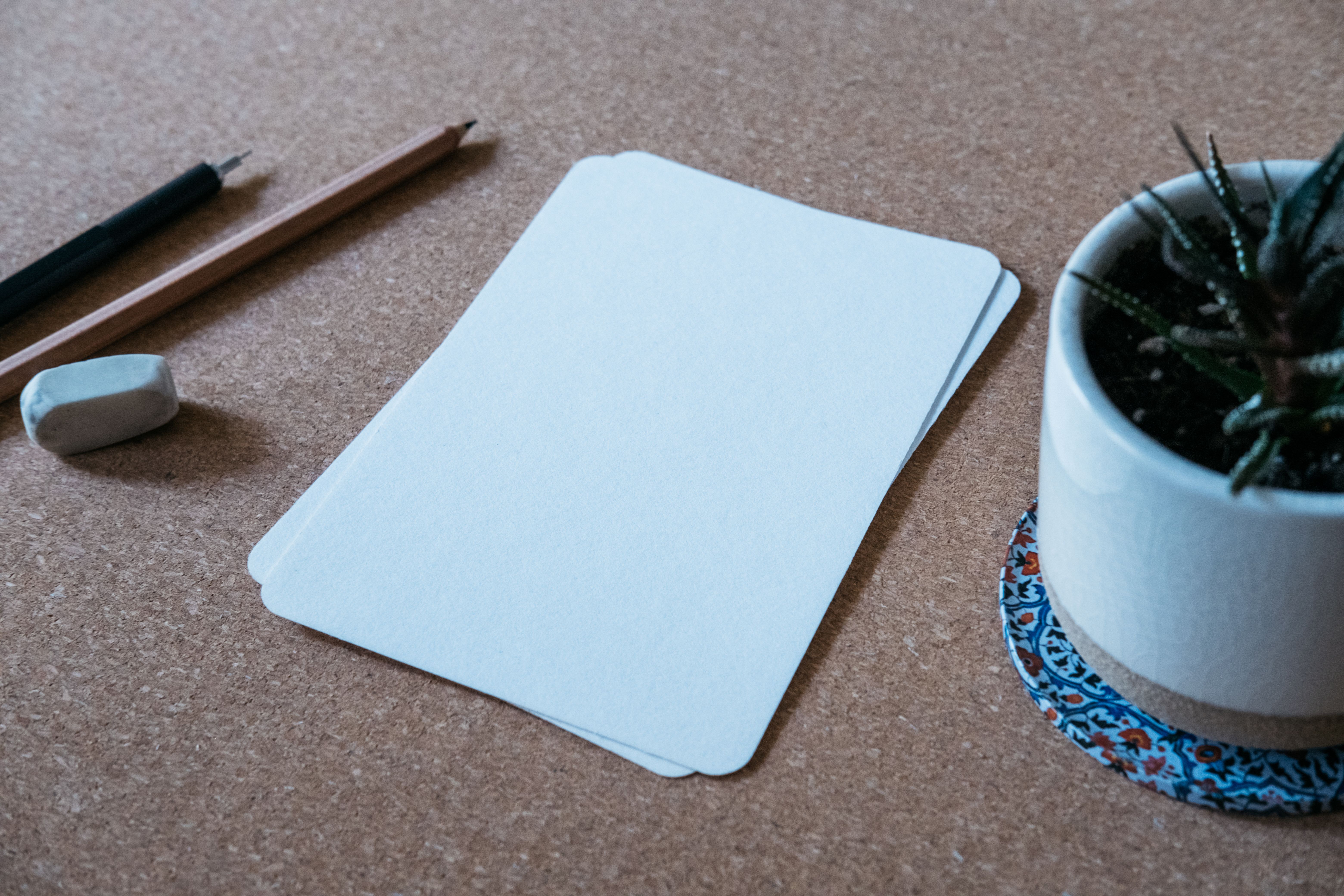 botanical sketchbook