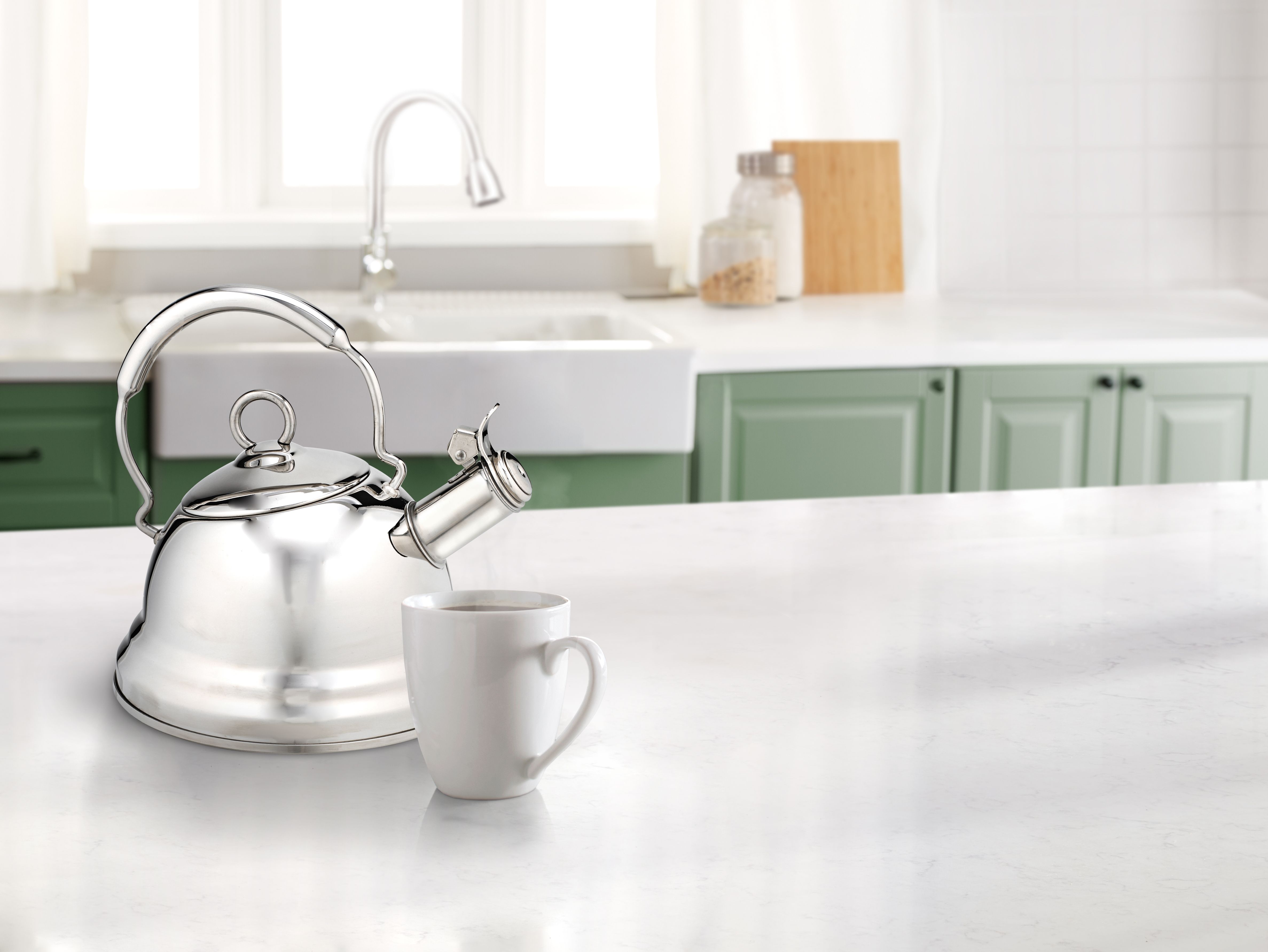 stainless steel teakettle