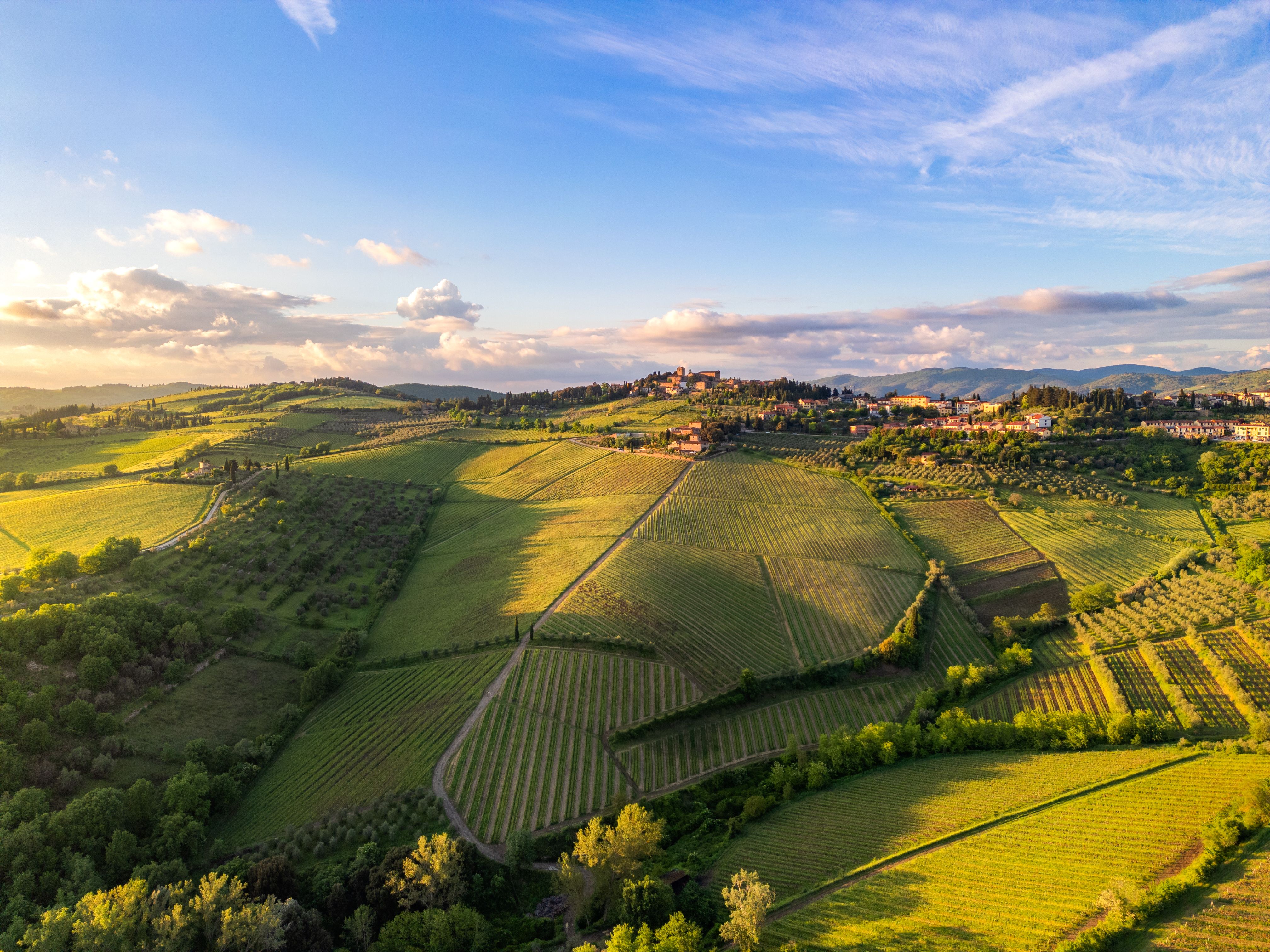 Tuscany wine tasting