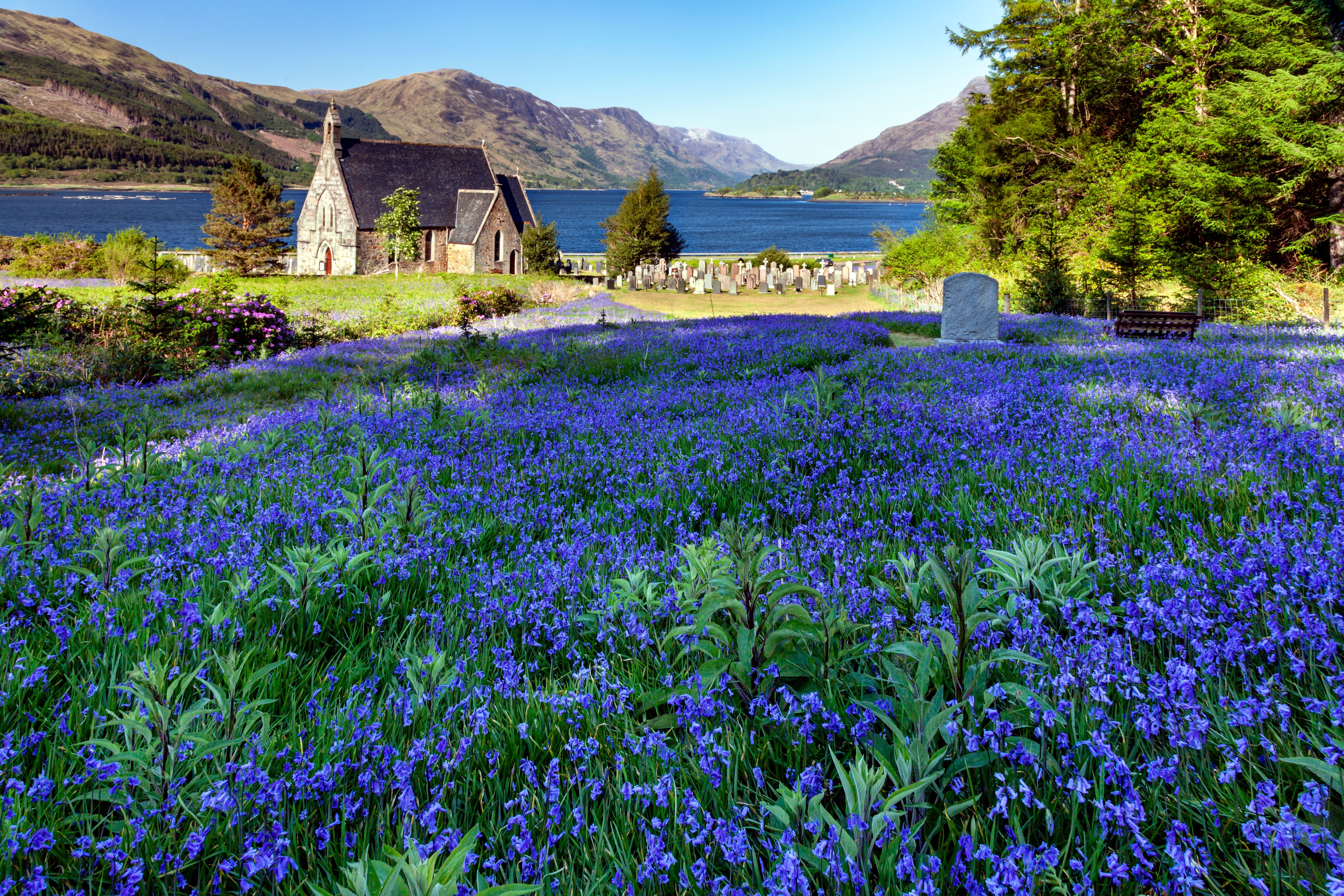 spring Scottish Highlands