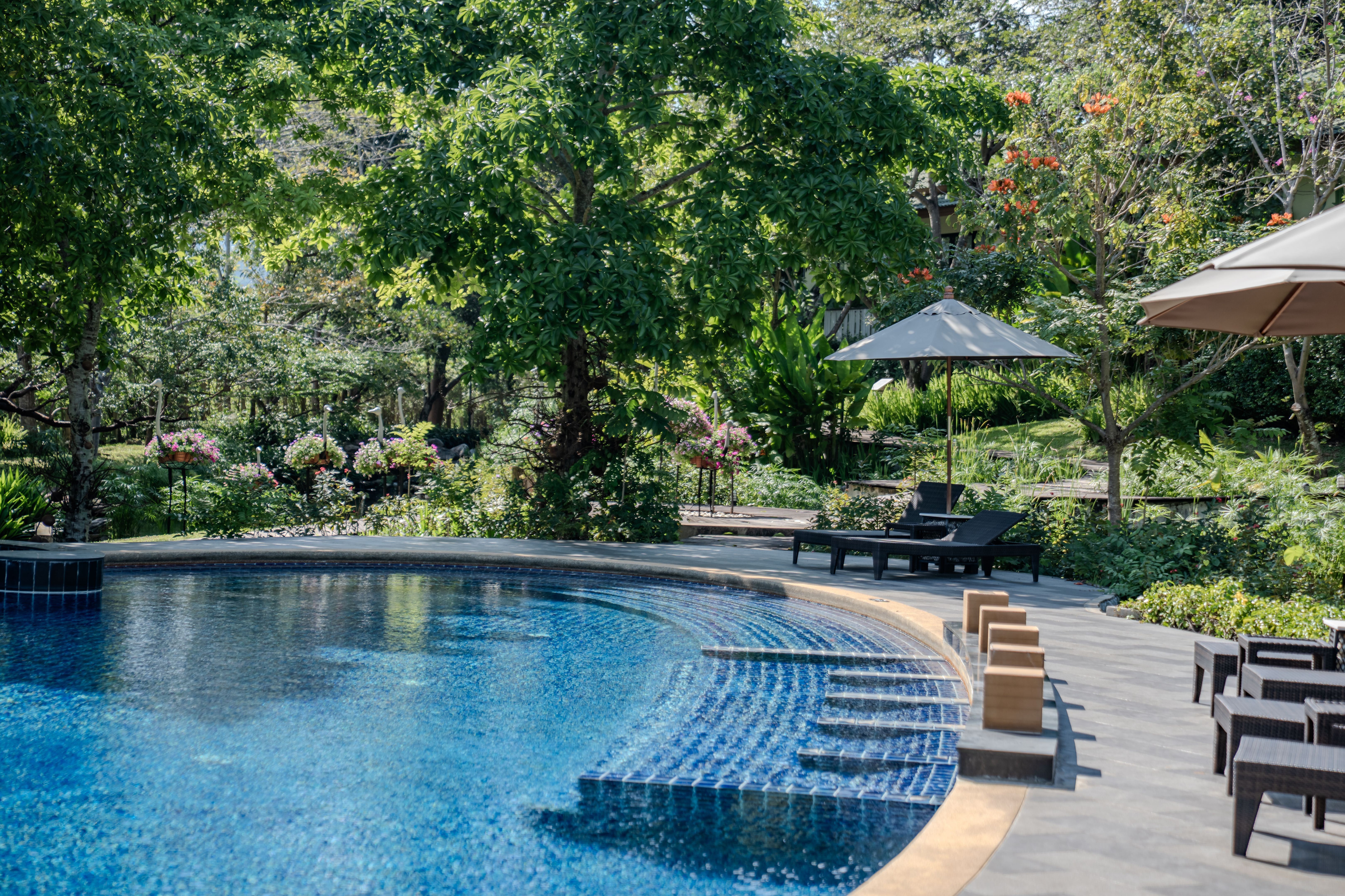 natural pool landscaping