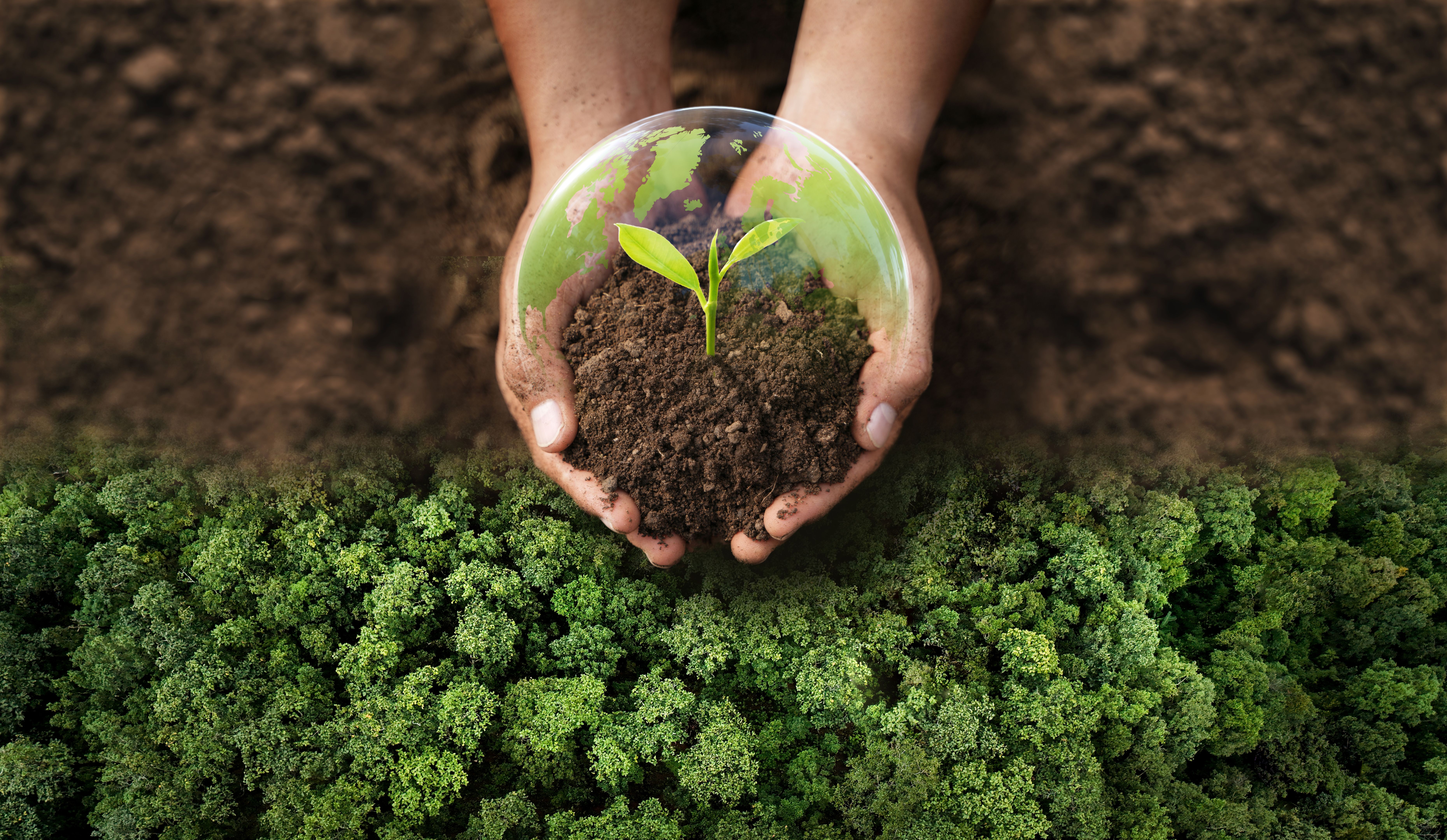 sustainable development