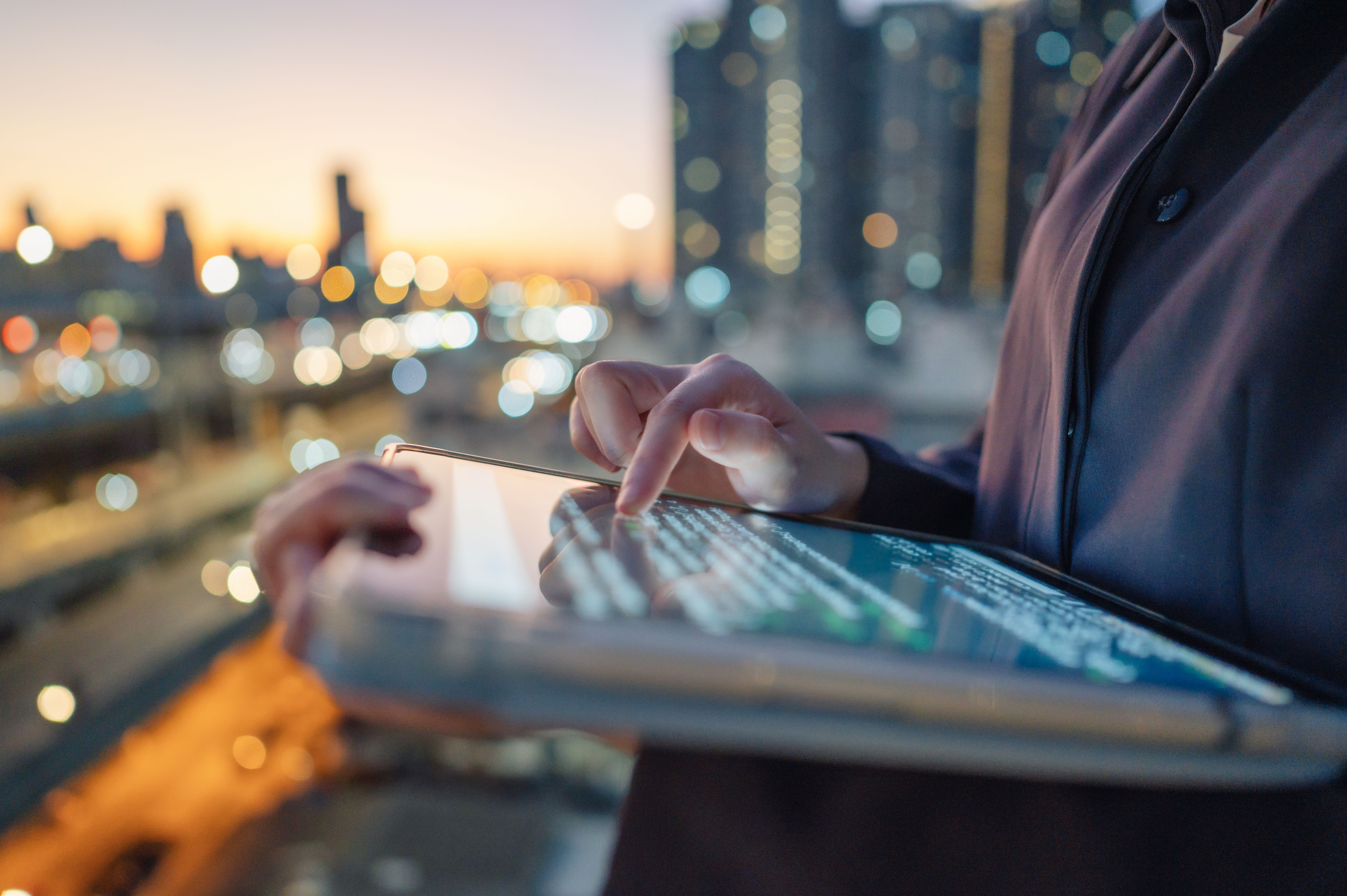 professional linguist