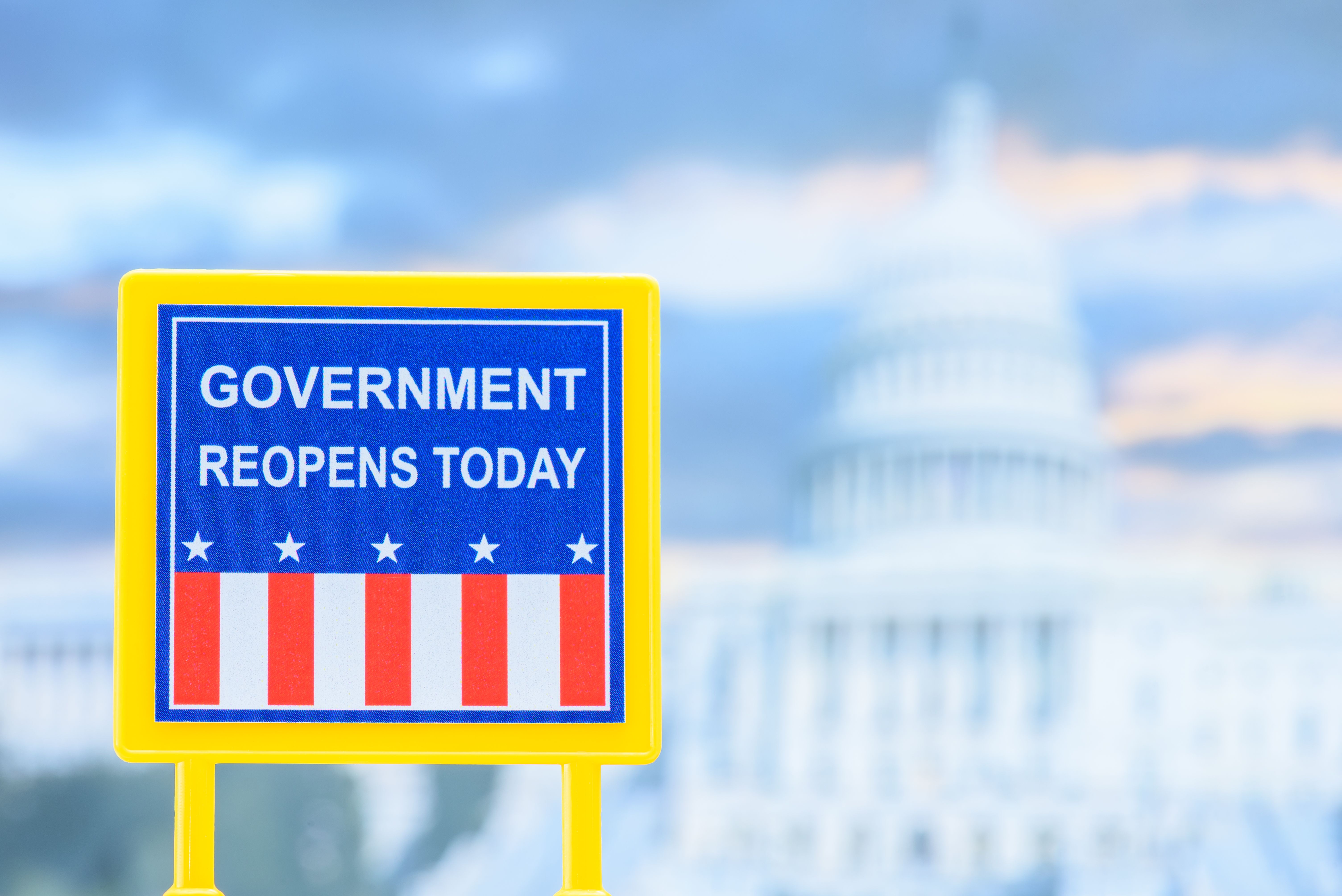 government policy construction