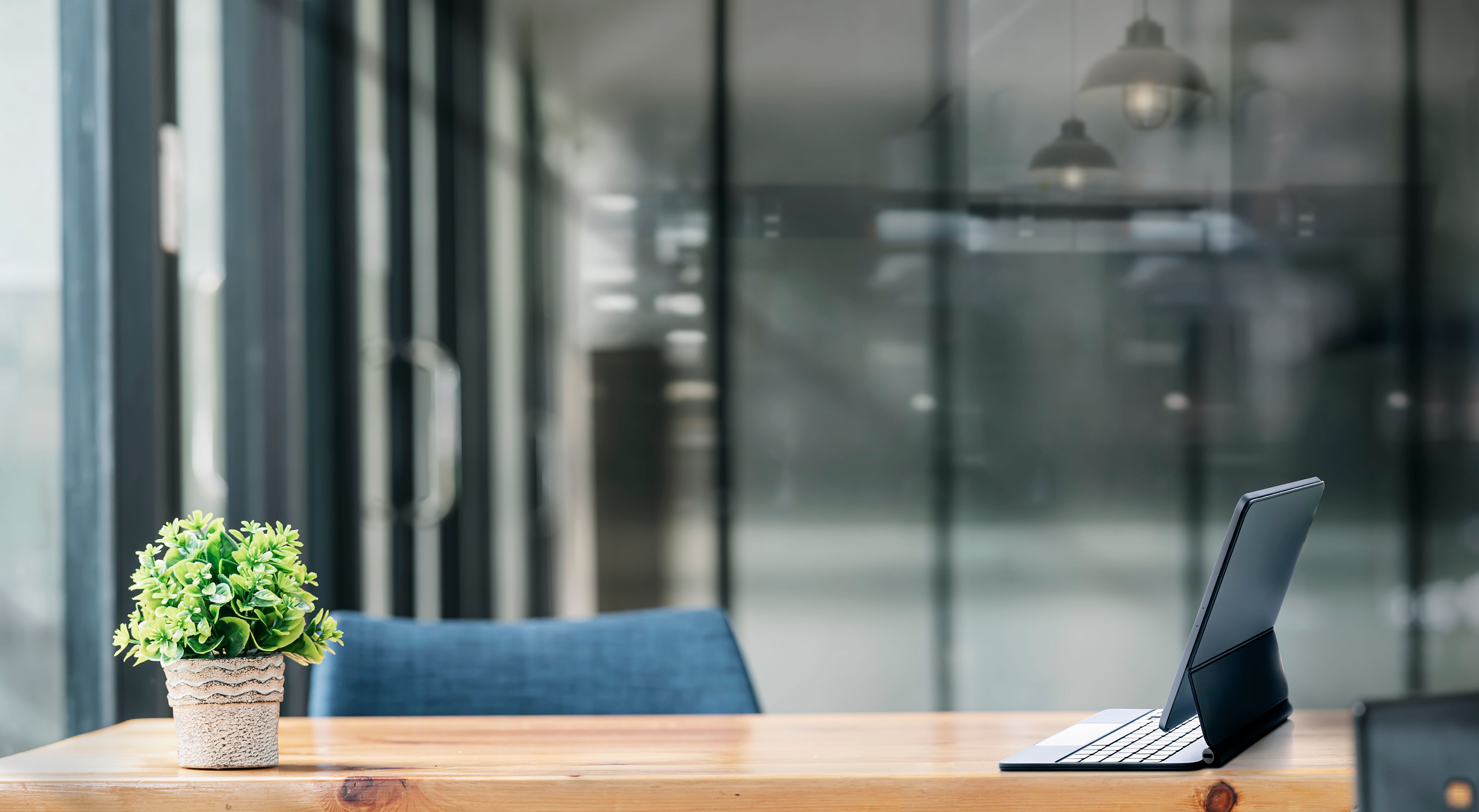 office desk with plant