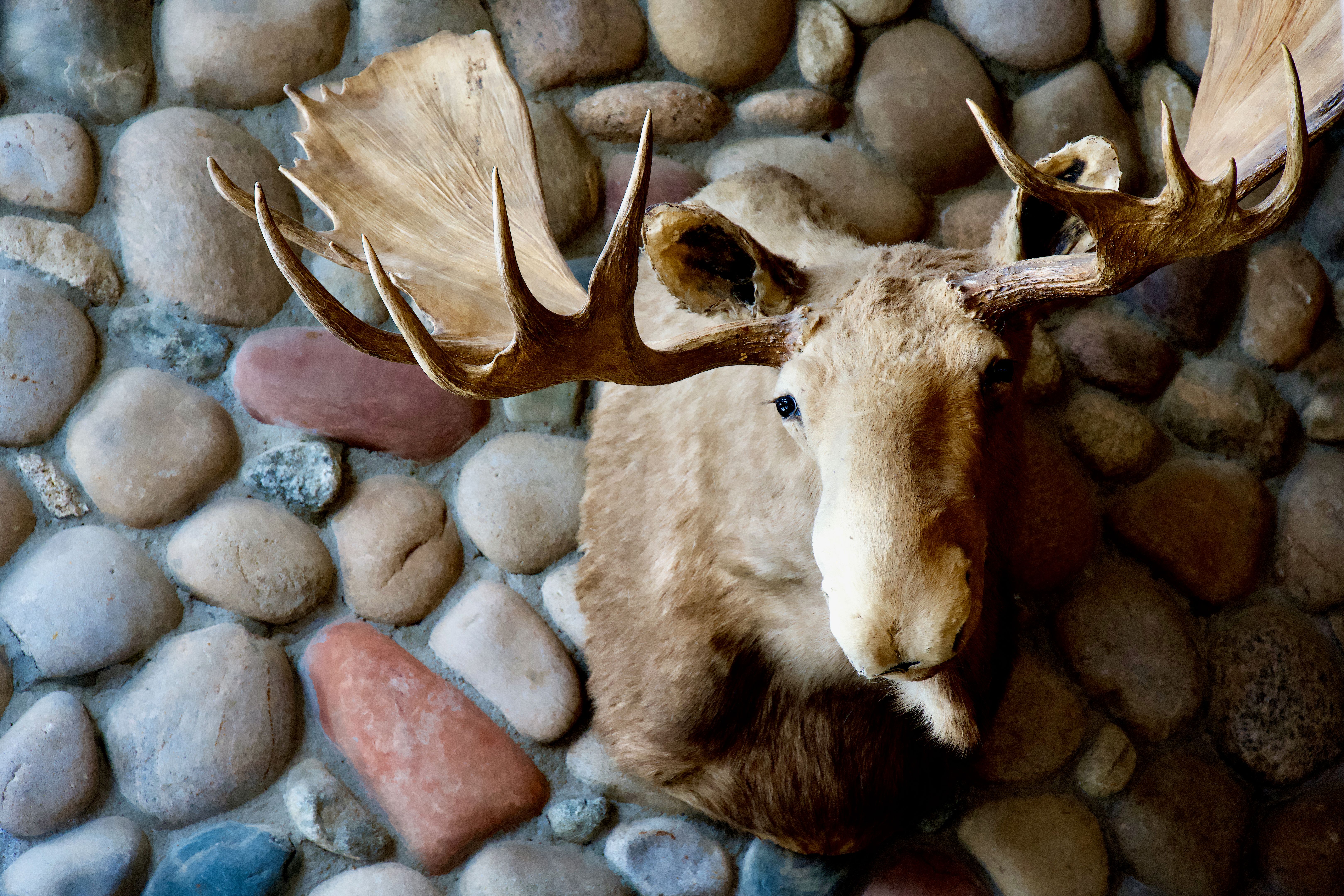 summer house hunting