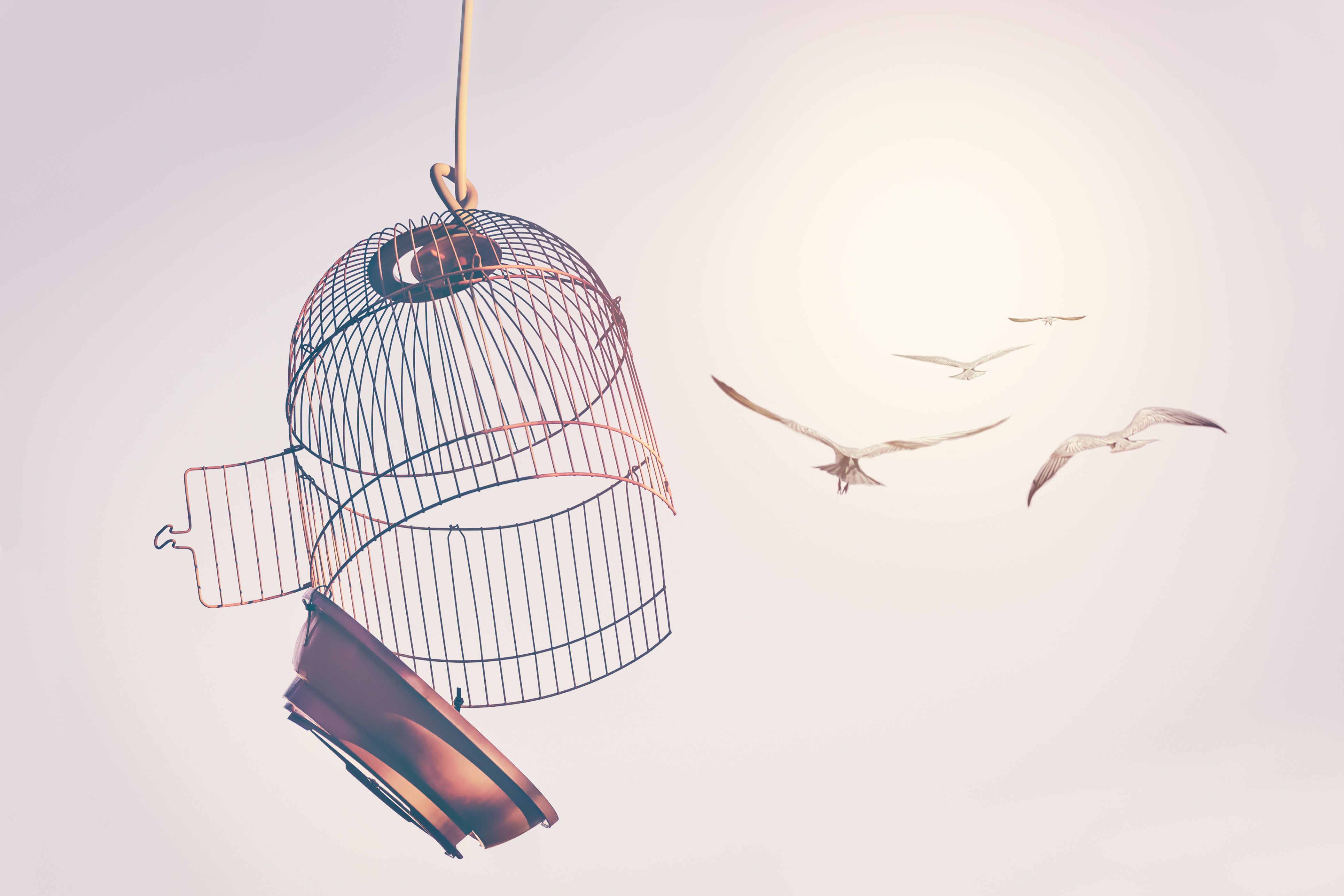 breaking free