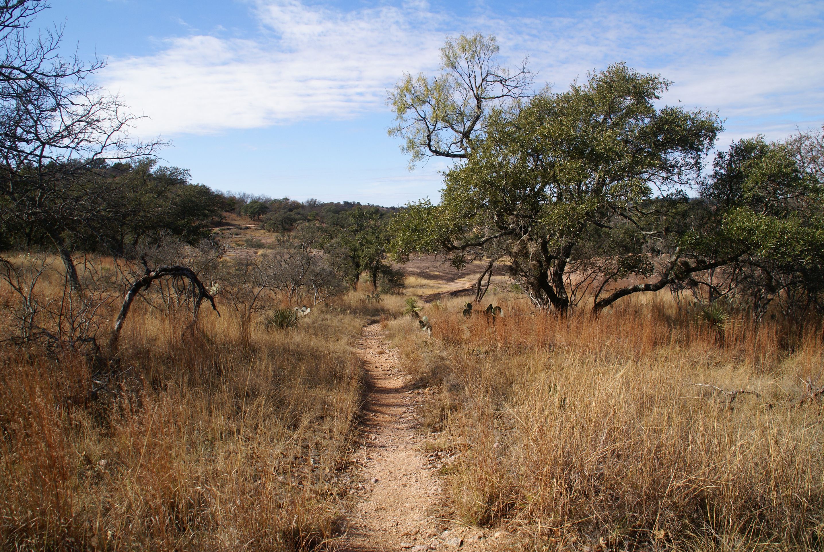 texas ranch trail