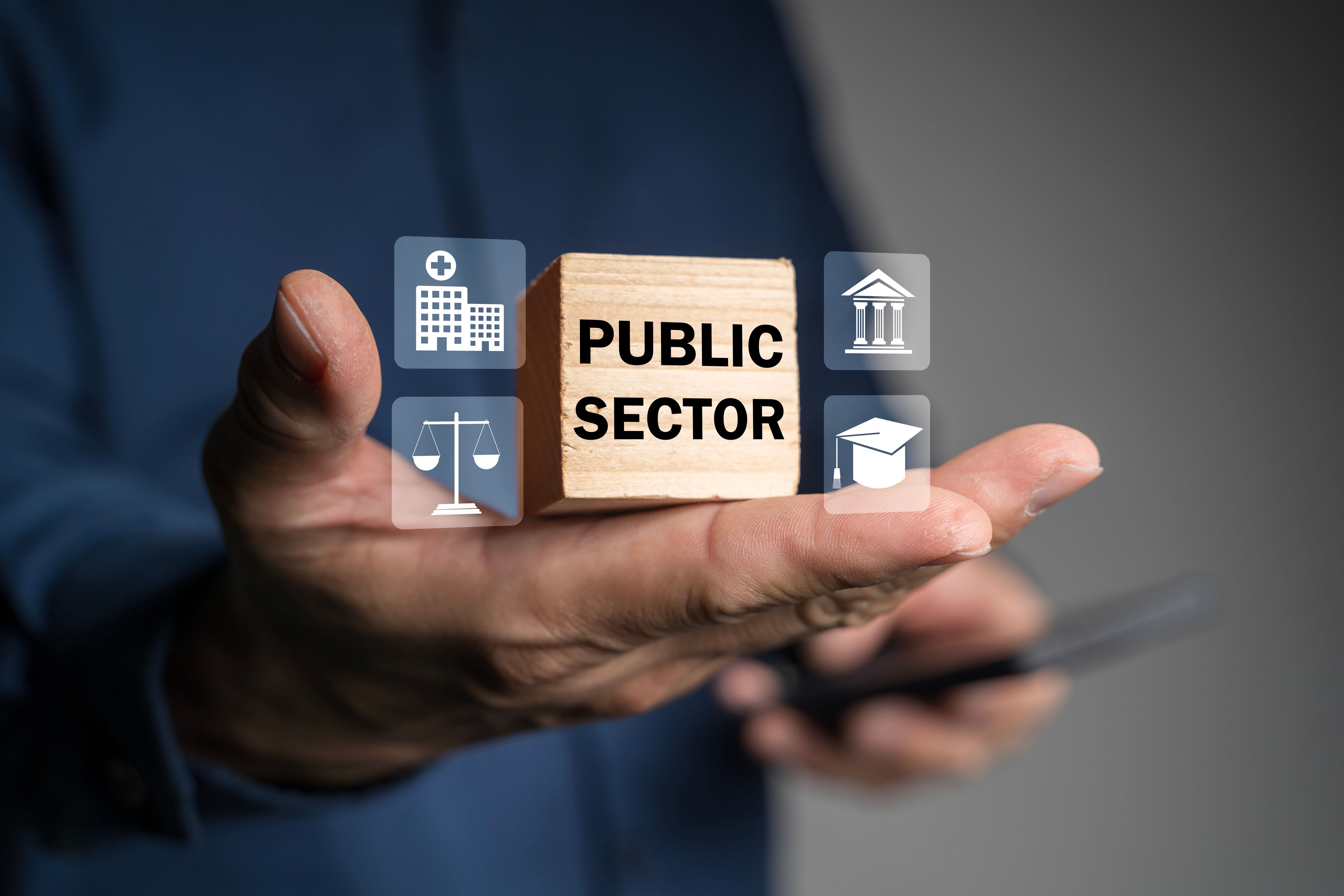 government collaboration