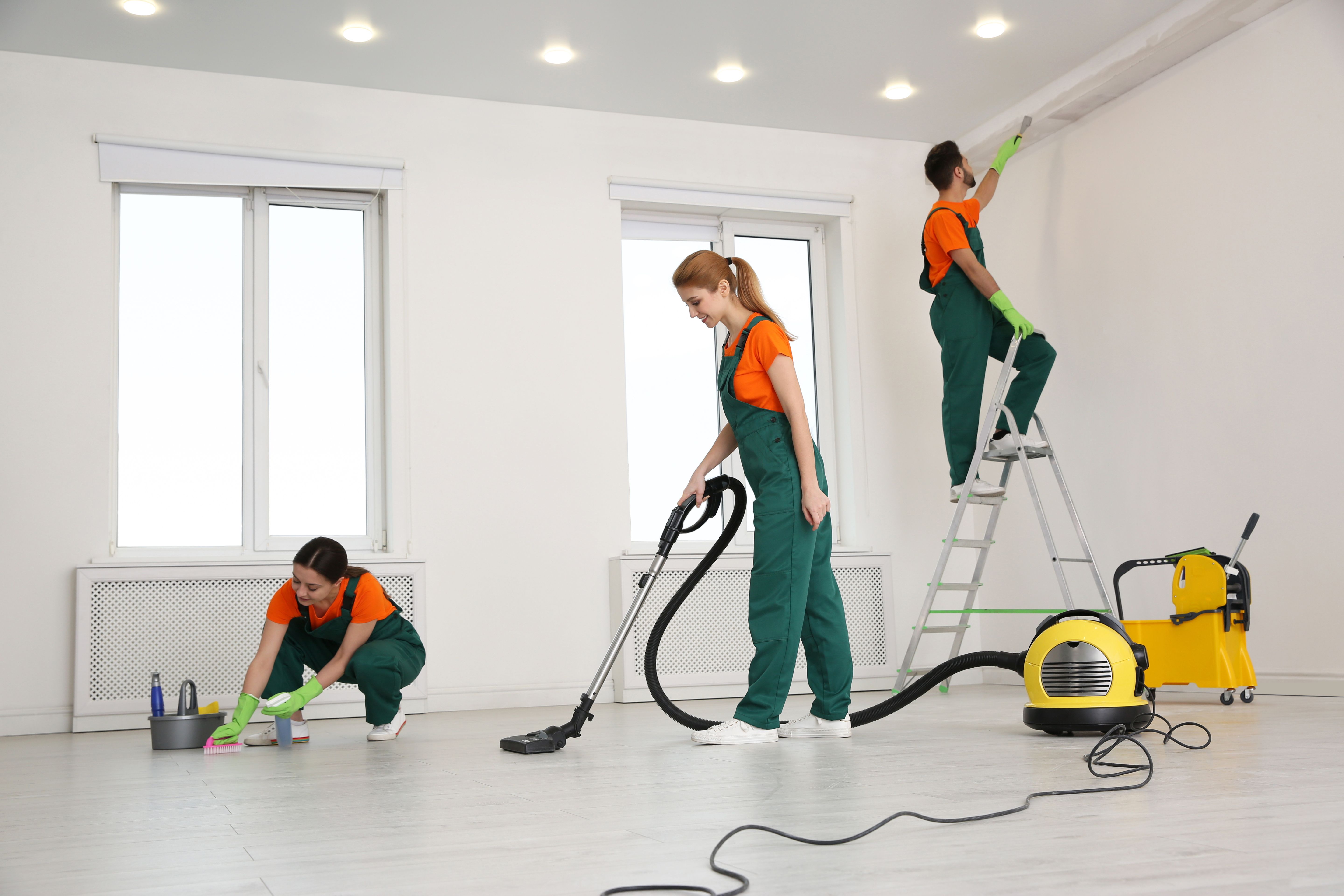 professional cleaning team