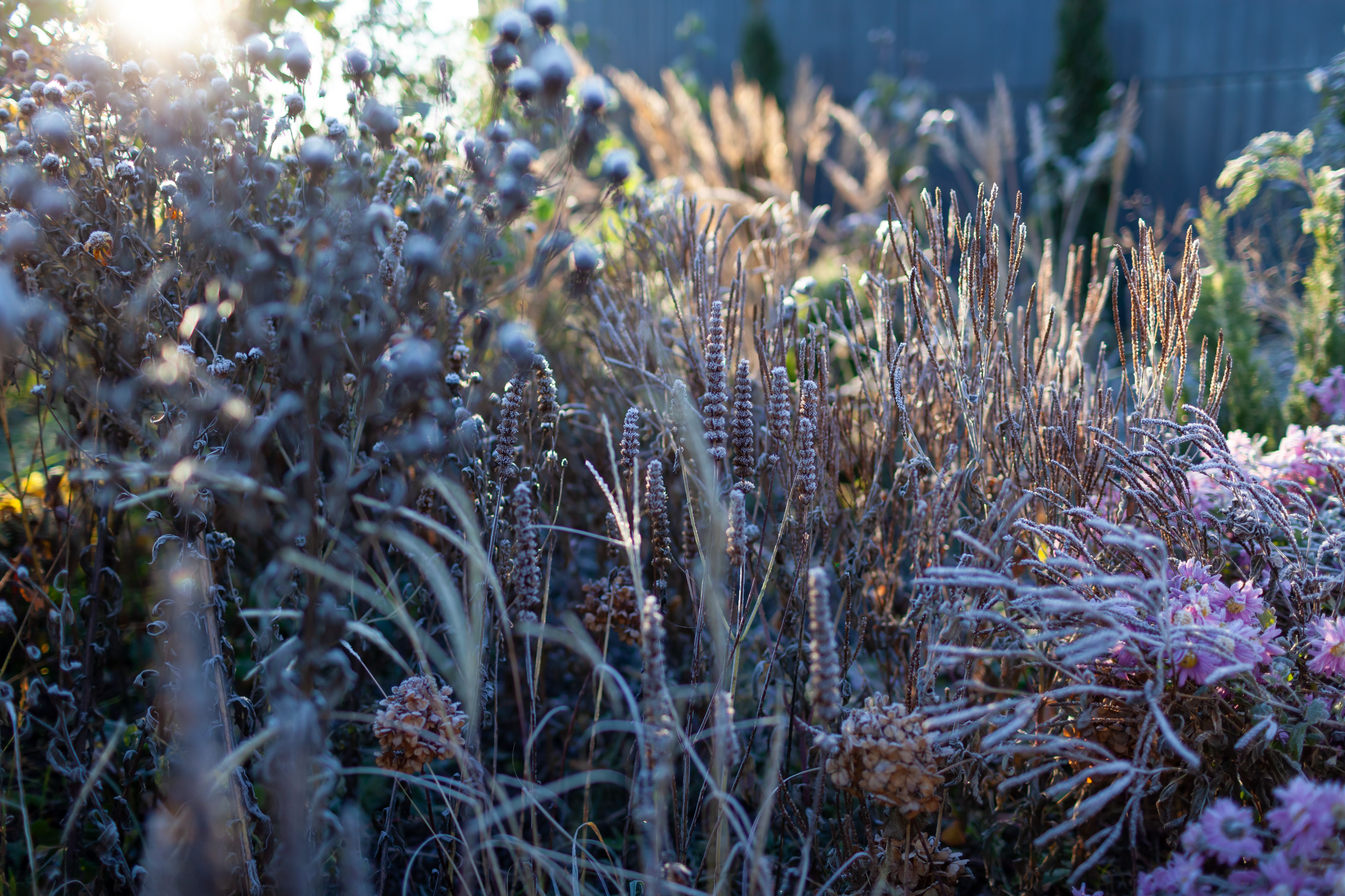 natural garden elements
