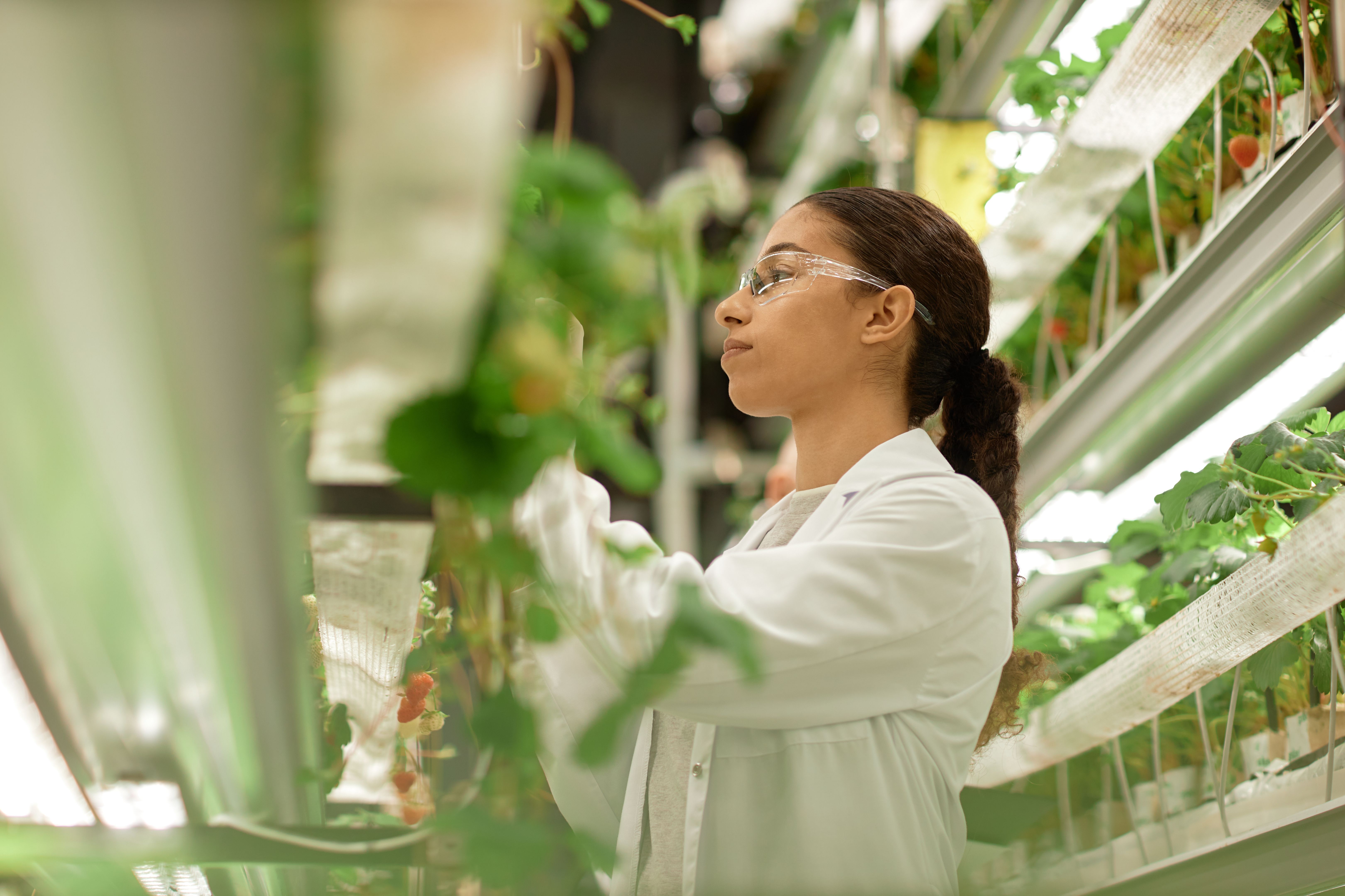 sustainable farming