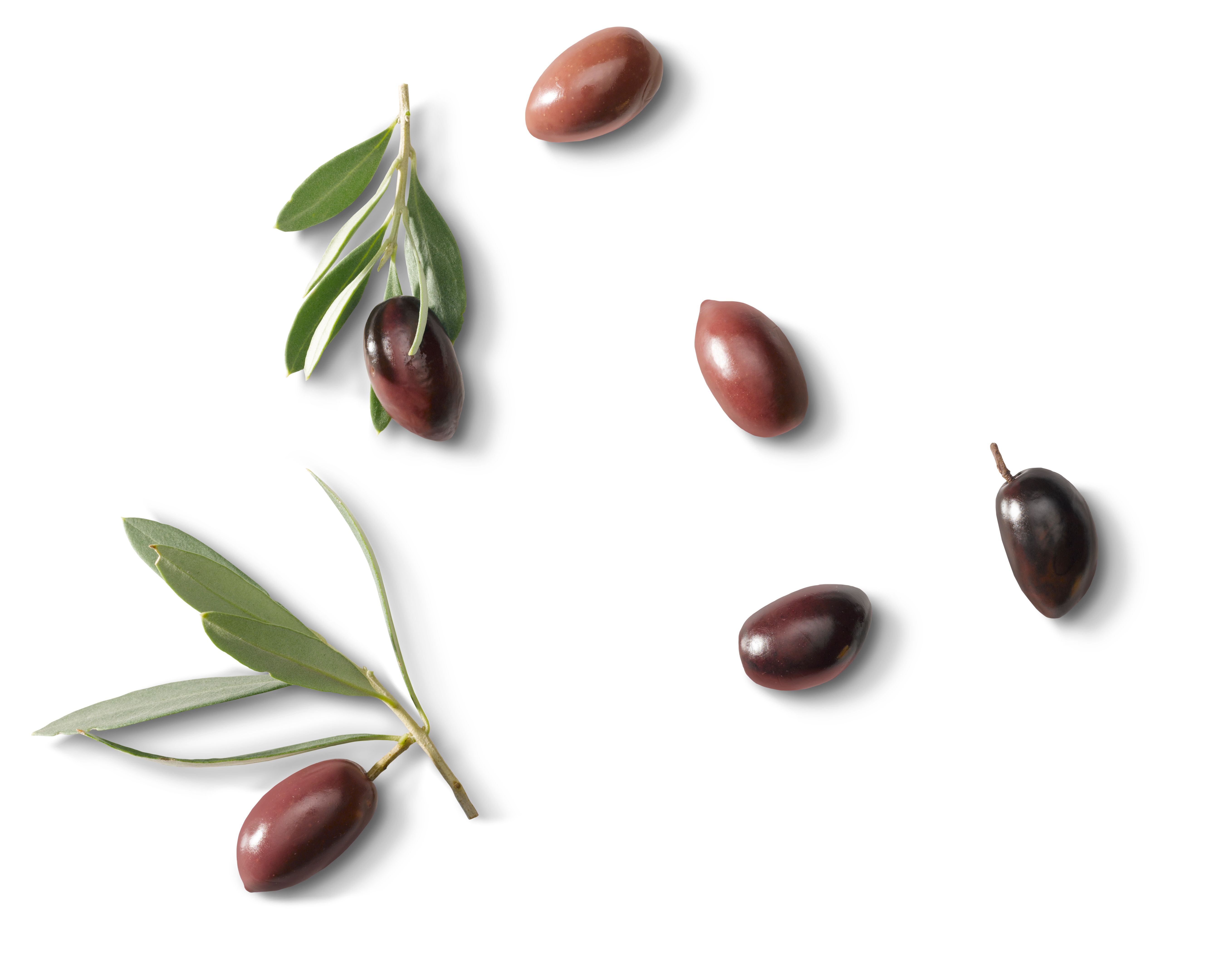 kalamata olives