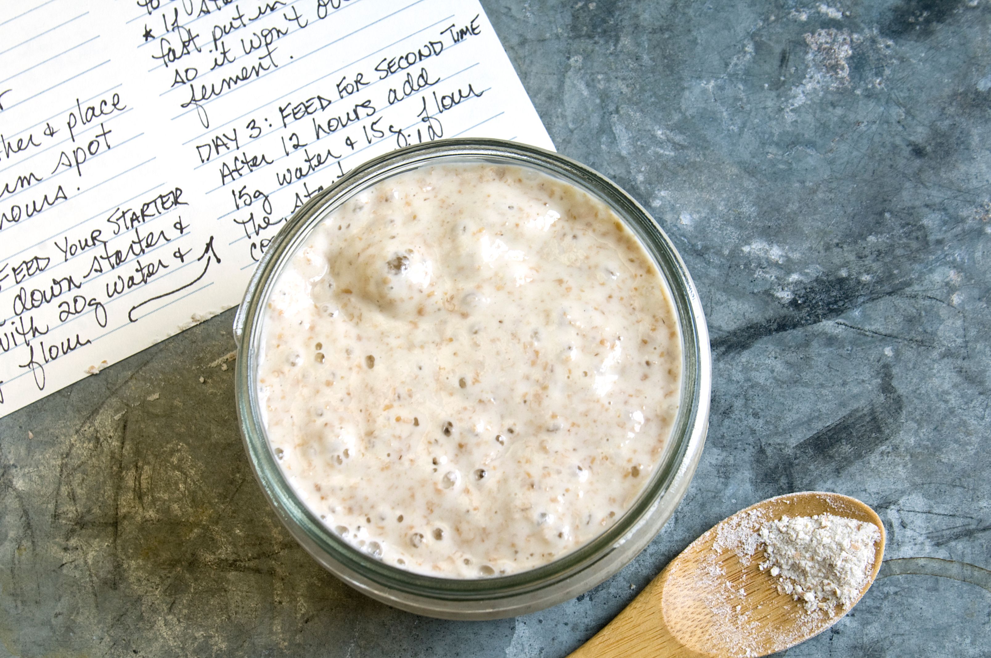 sourdough starter