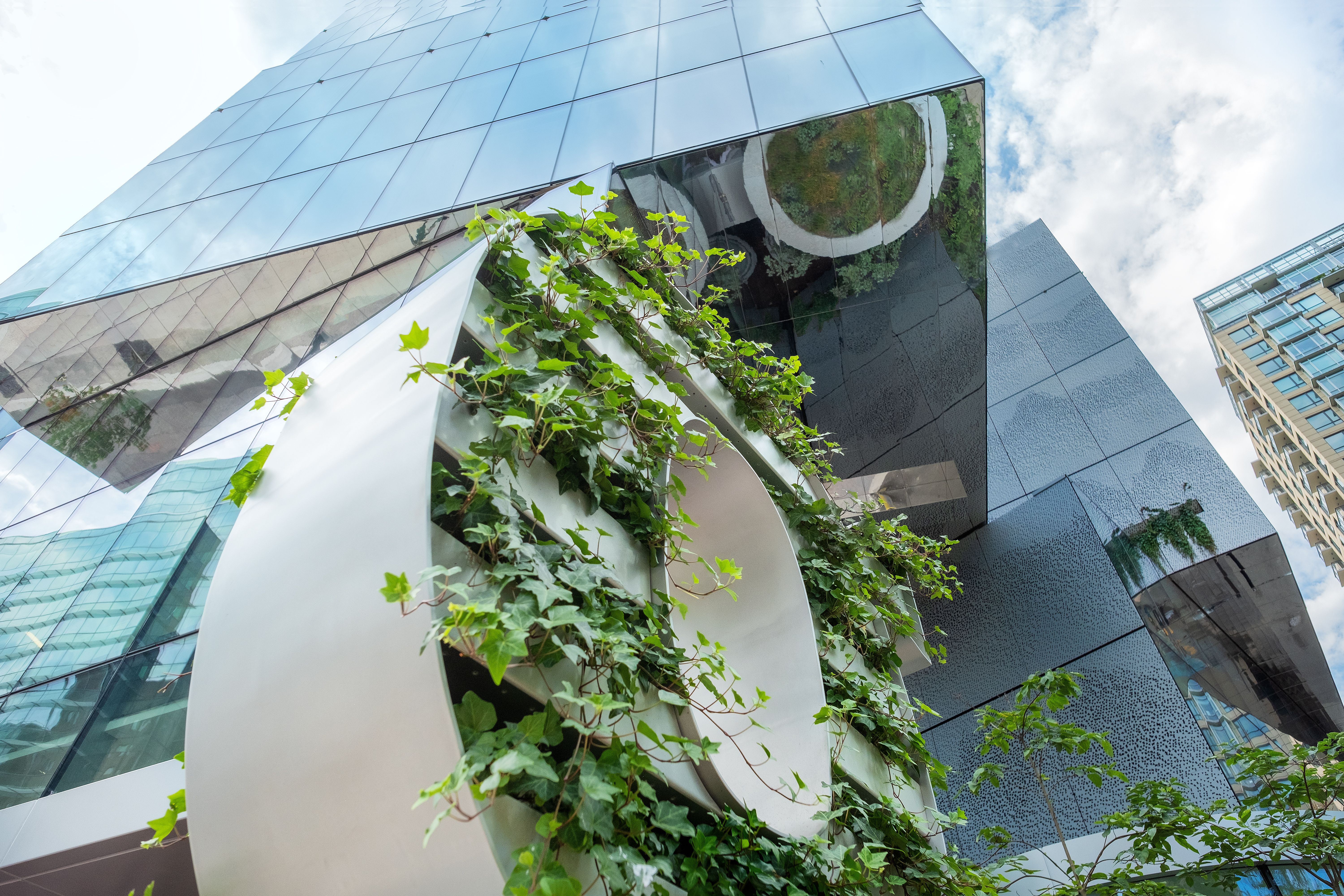 Pared viva de plantas bajo un moderno edificio de oficinas, vista hacia arriba