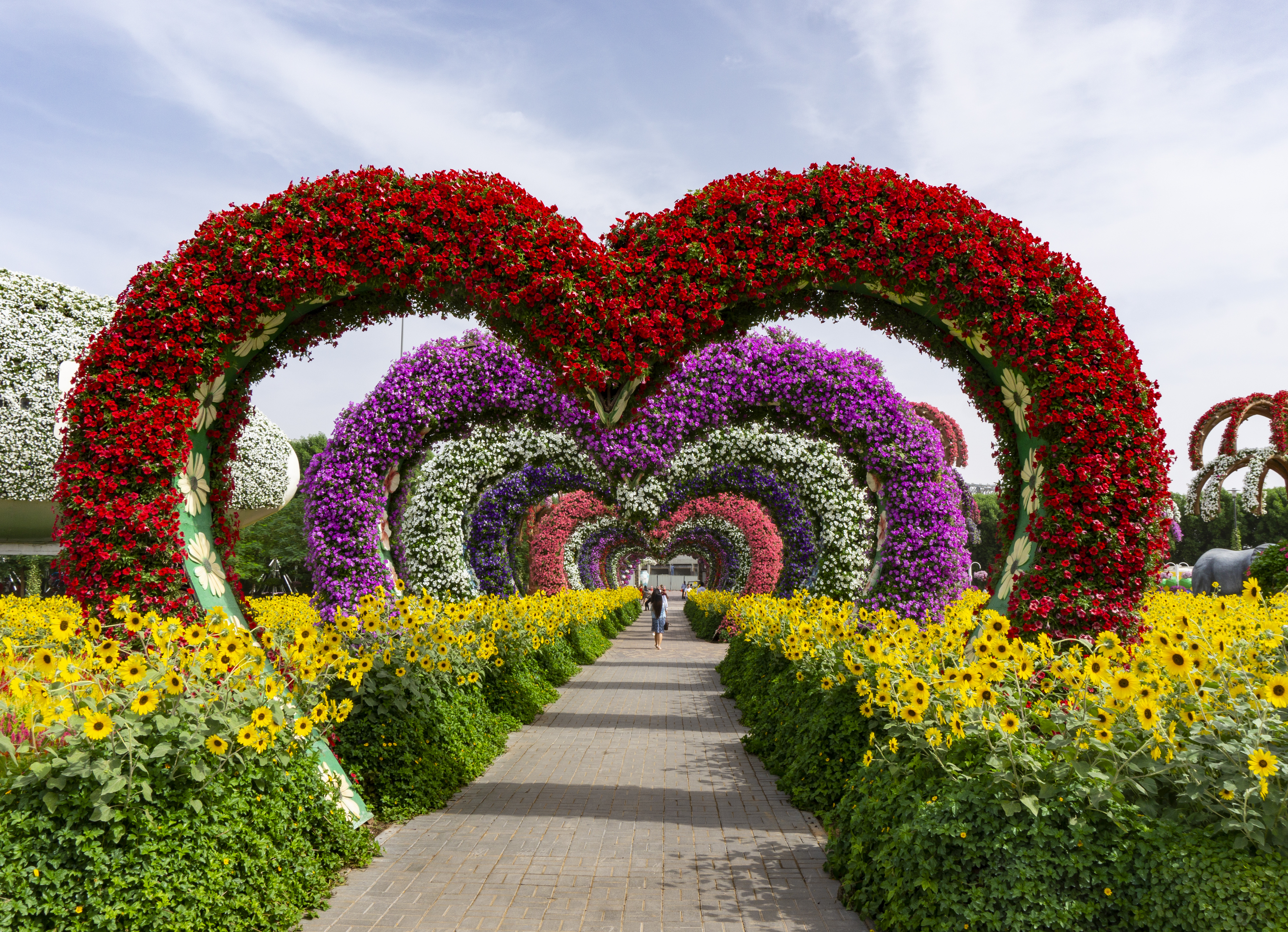 Colorful heart shaped flowers alley in a flower garden